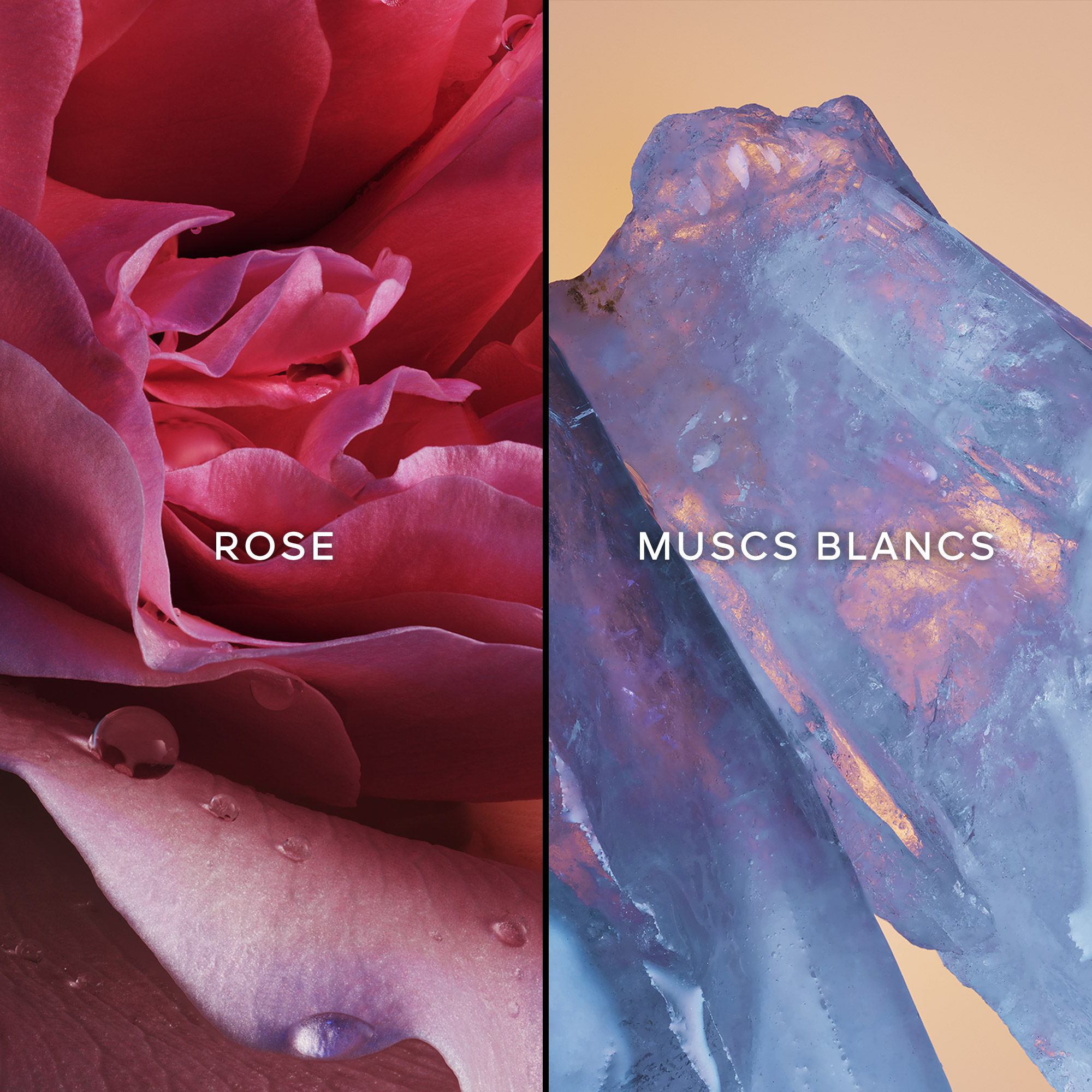 L'Instant Magic Eau de Parfum GUERLAIN No color