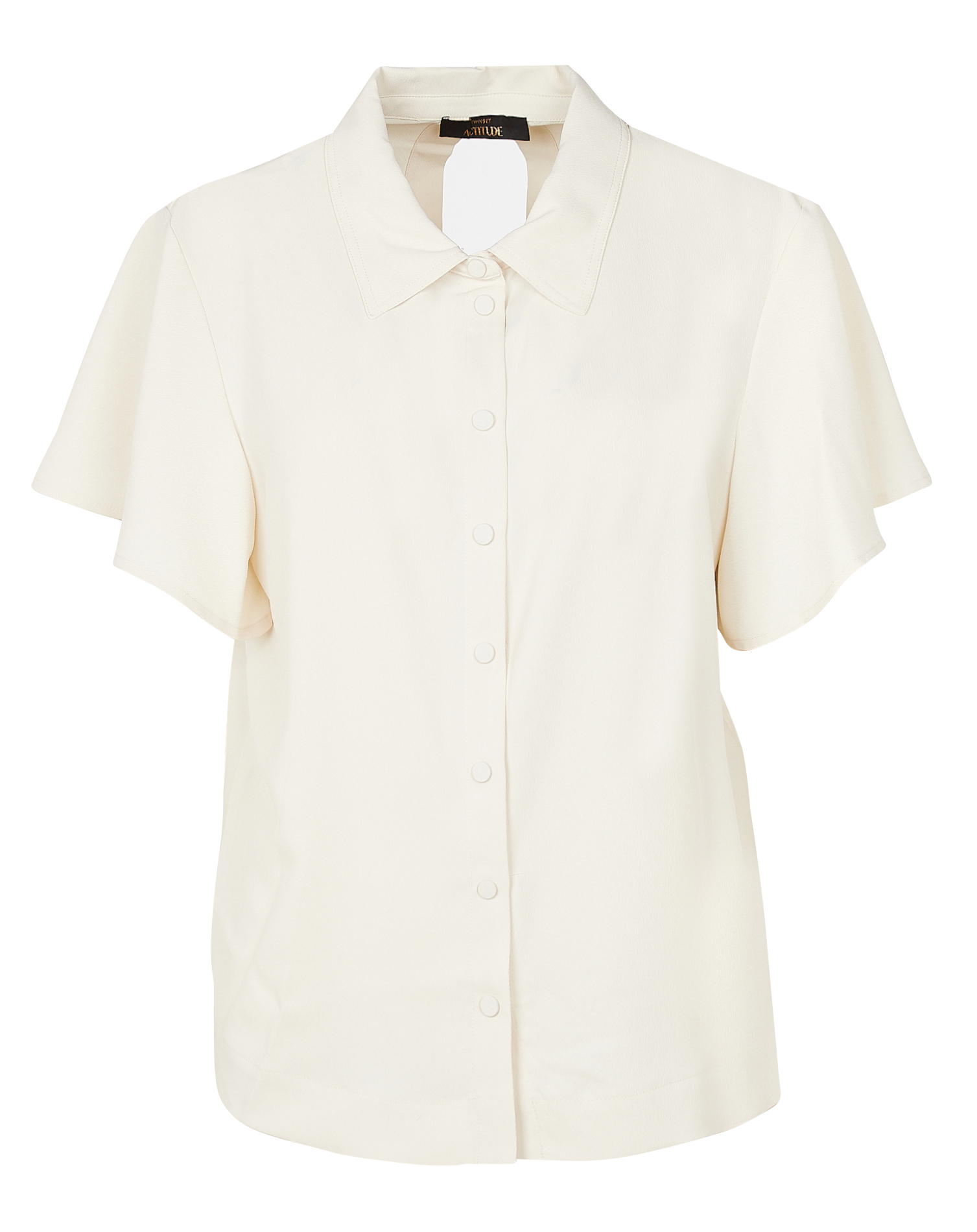 Fluid shirt with classic collar TWINSET Beige