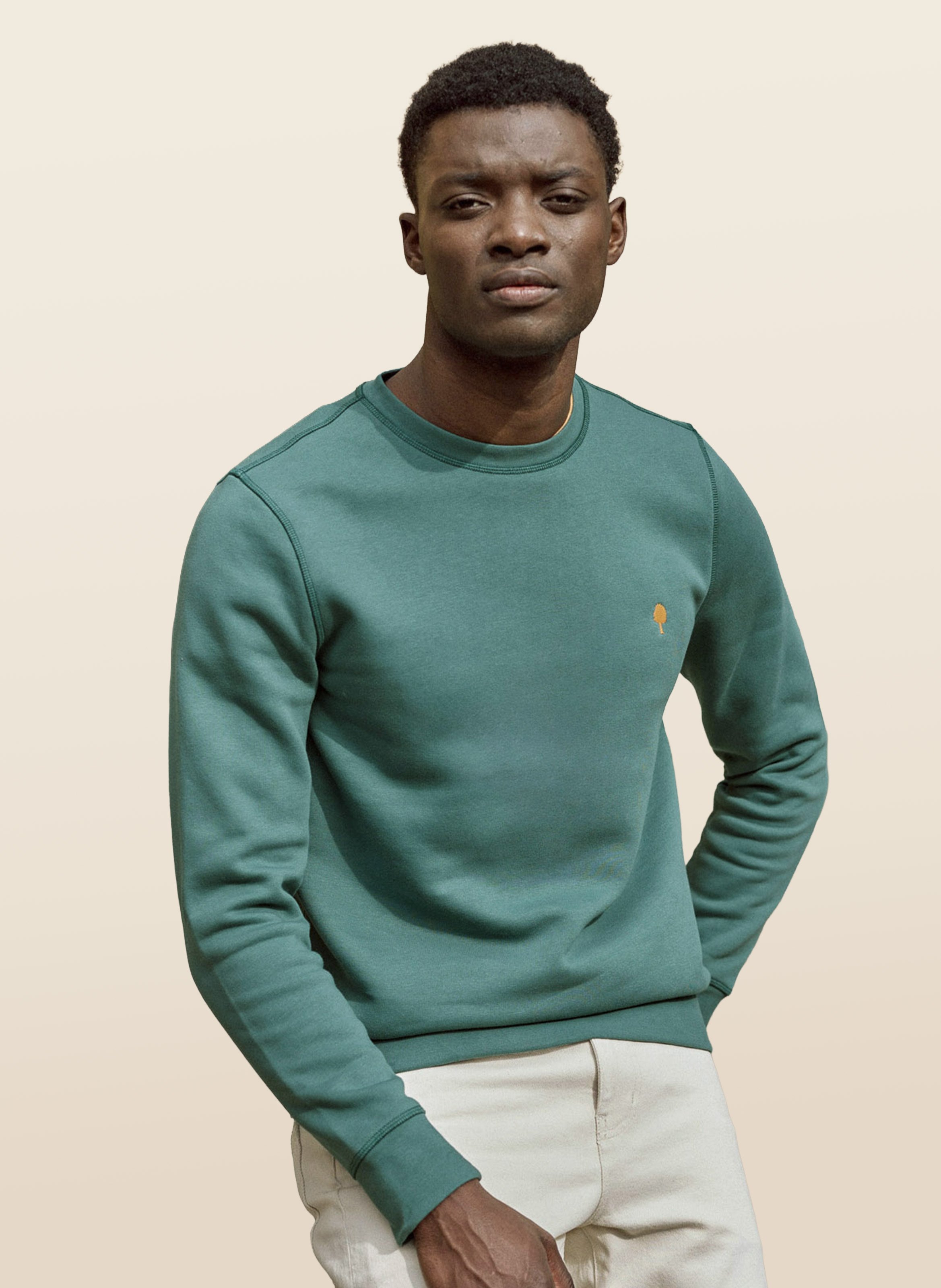 Rechte sweater met ronde hals | katoenblend FAGUO
