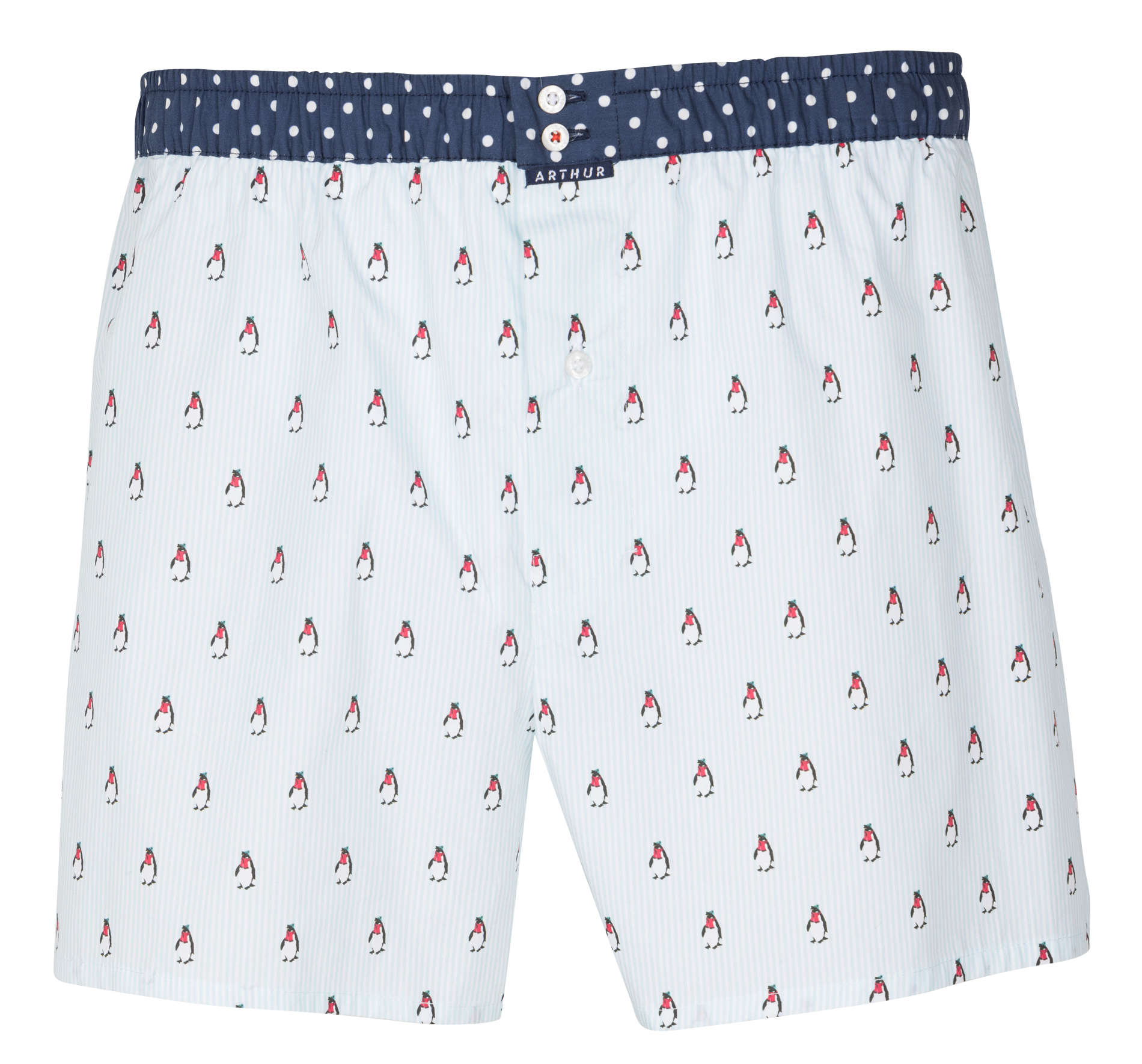 Caleçon en coton imprimé ARTHUR Bleu