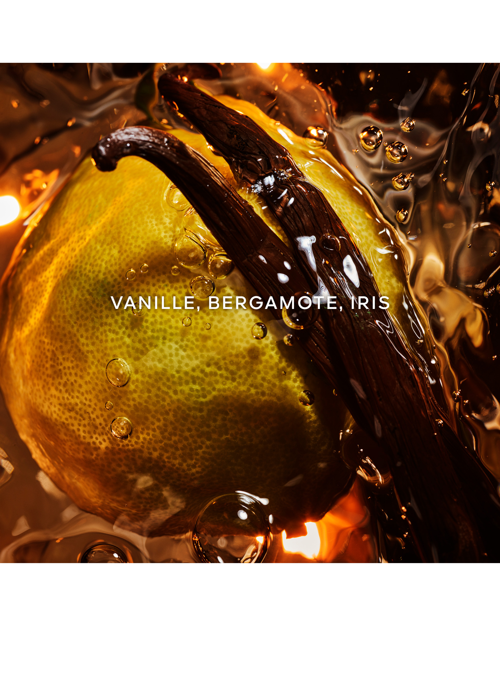 SHALIMAR Eau de Parfum Christmas Gift Set 2022 GUERLAIN No color