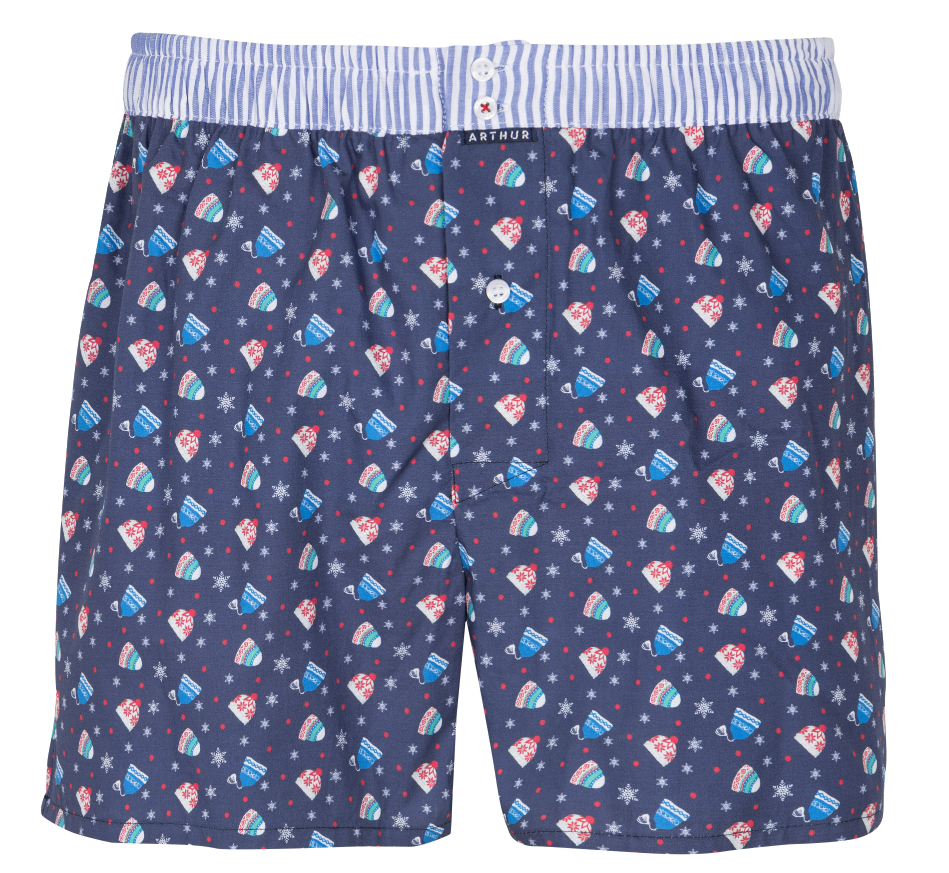 Caleçon en coton imprimé ARTHUR Bleu