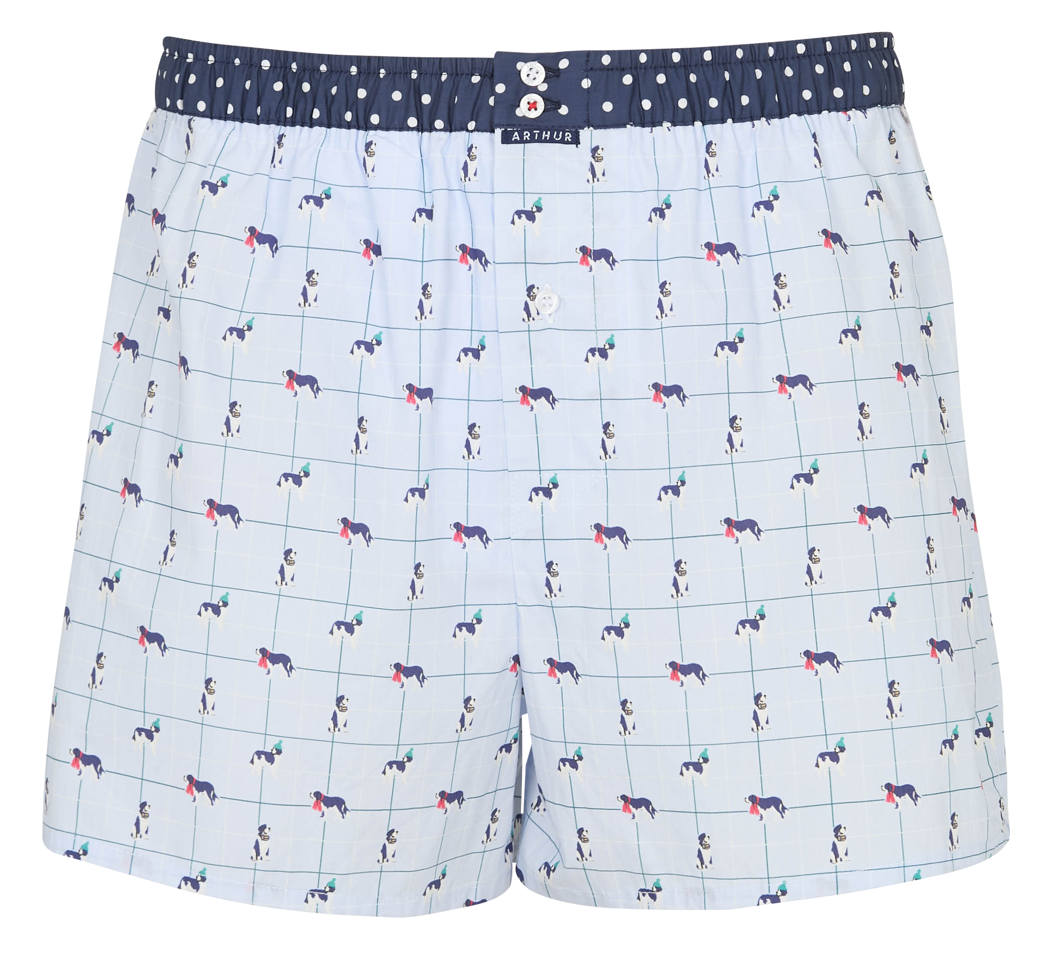 Caleçon imprimé en coton ARTHUR Bleu
