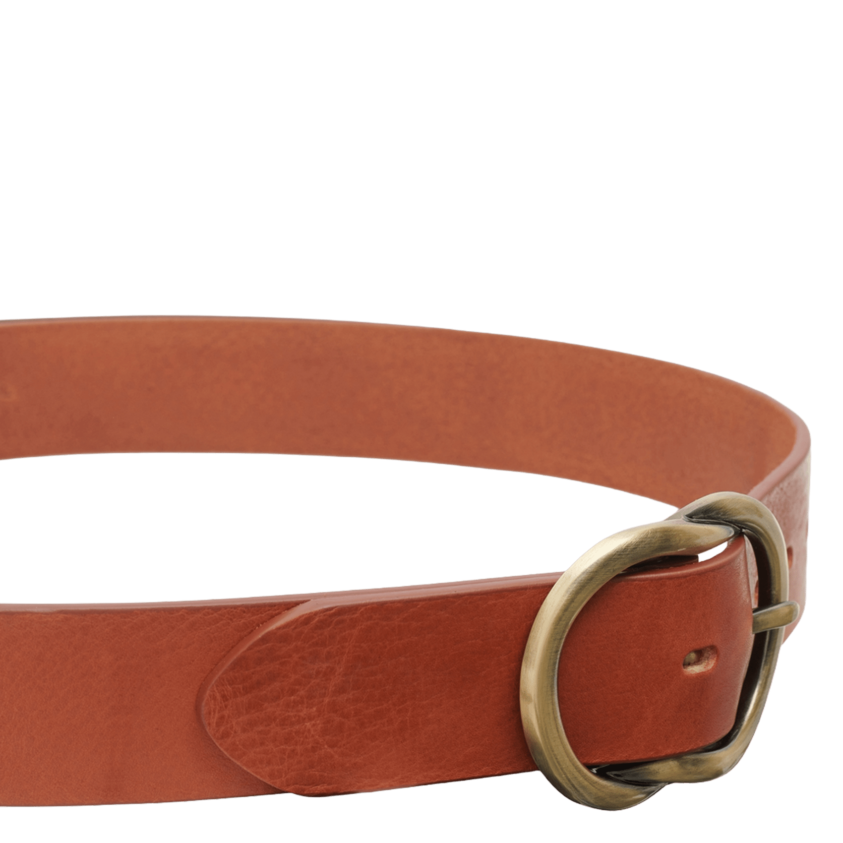 Leren riem met gesp GERARD DAREL Bruin