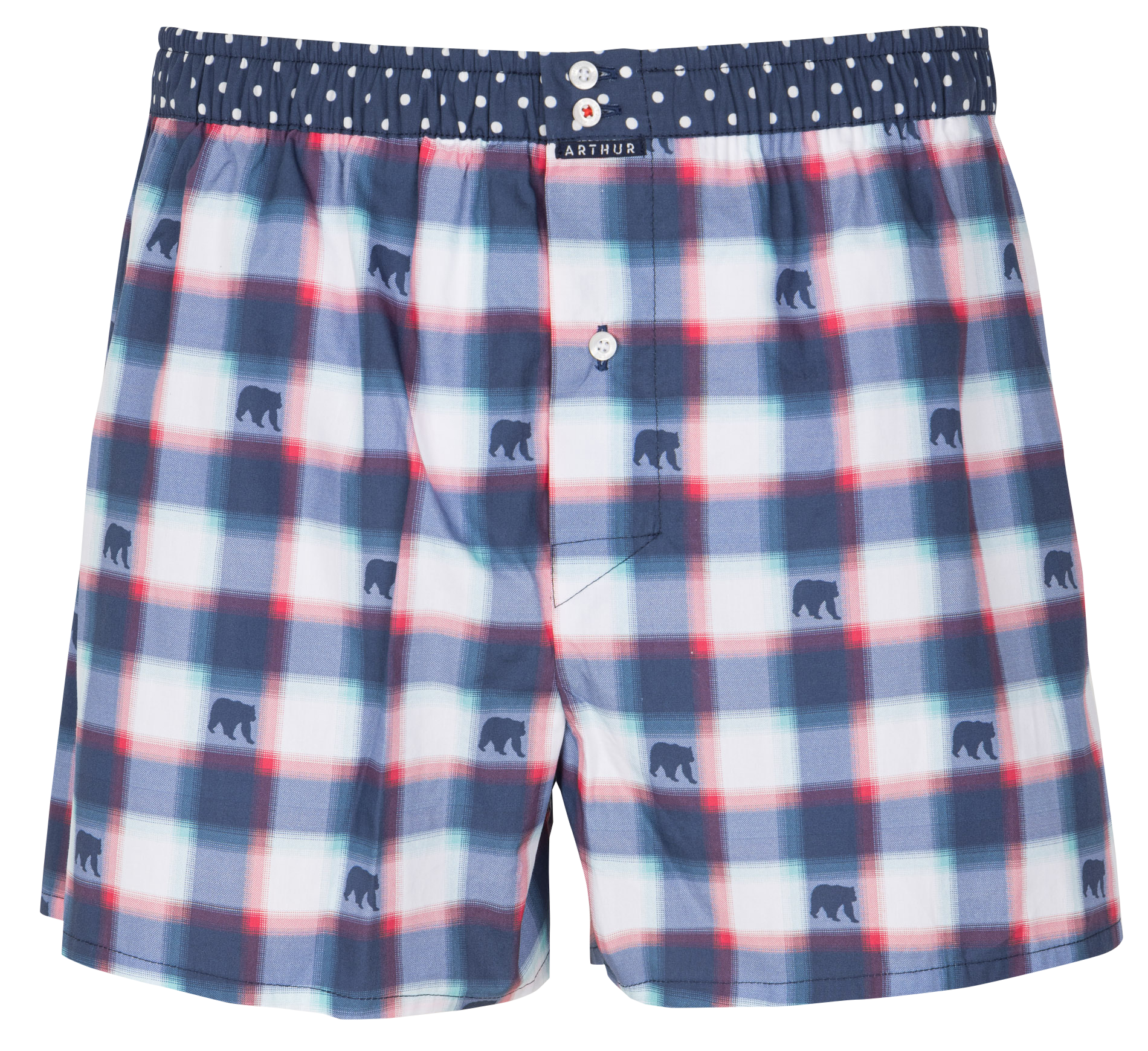 Caleçon en coton imprimé ARTHUR Multicolore