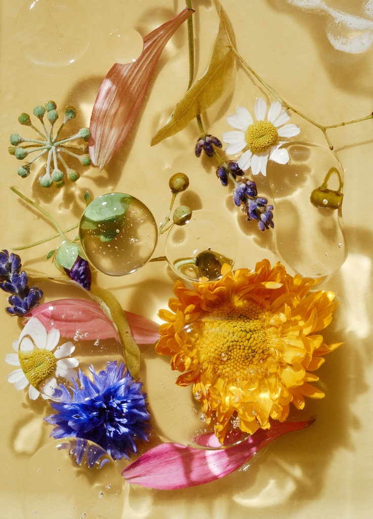 Merveille des yeux DELBÔVE No color