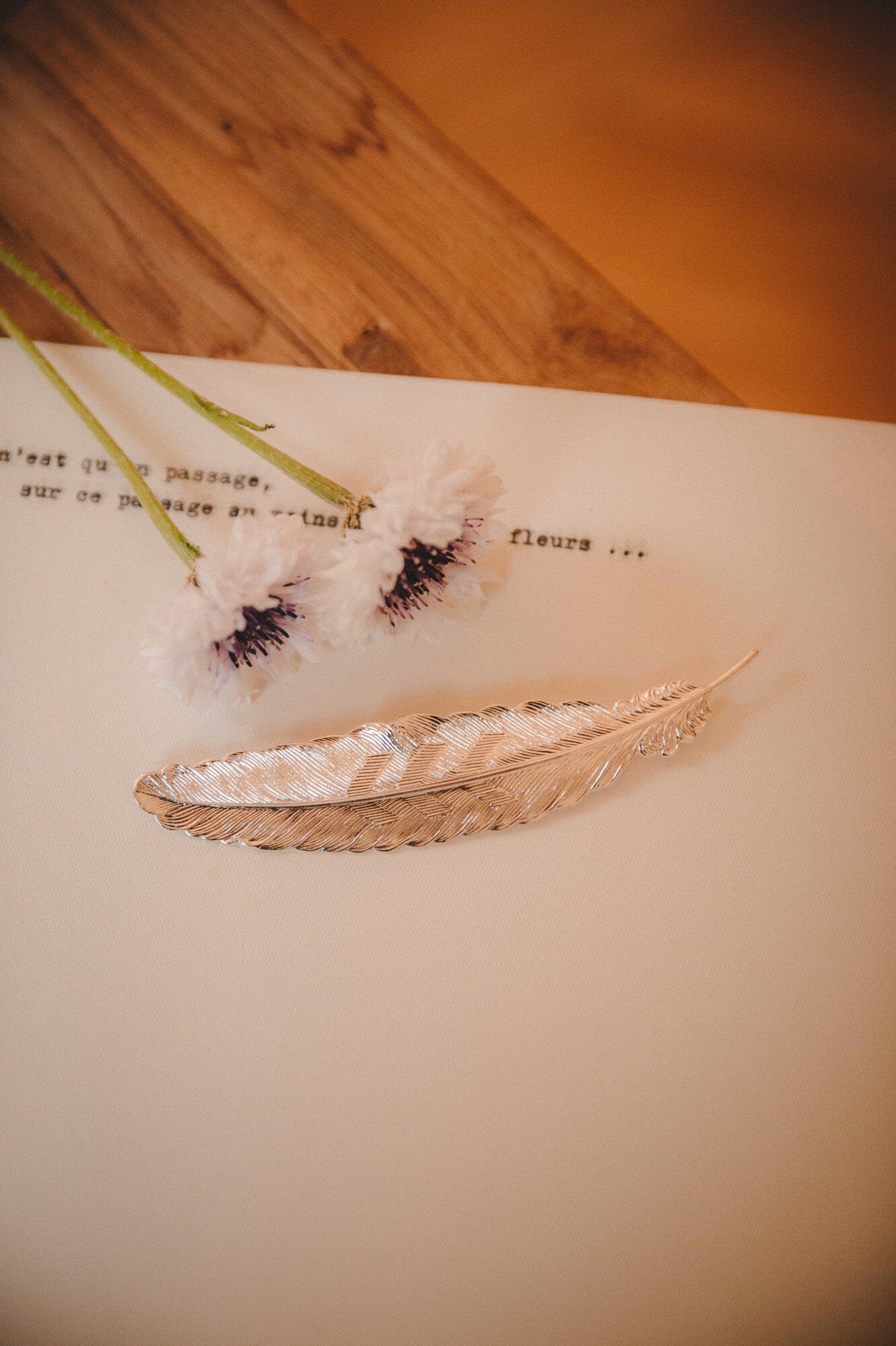 Gold-plated feather brooch MONSIEUR SIMONE Silver