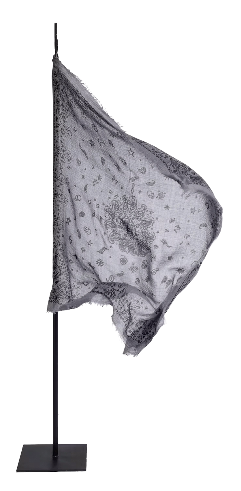 Foulard en cachemire imprimé ZADIG&VOLTAIRE Gris