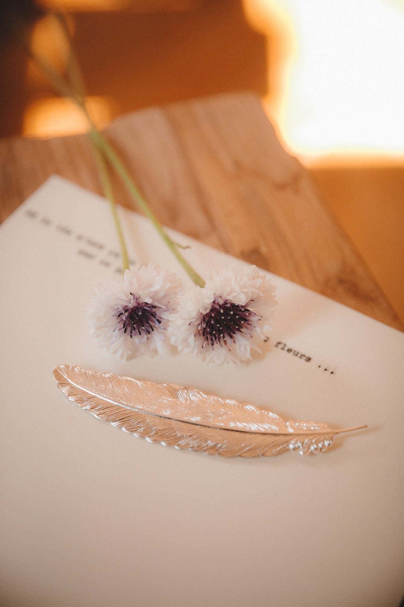 Gold-plated feather brooch MONSIEUR SIMONE Silver