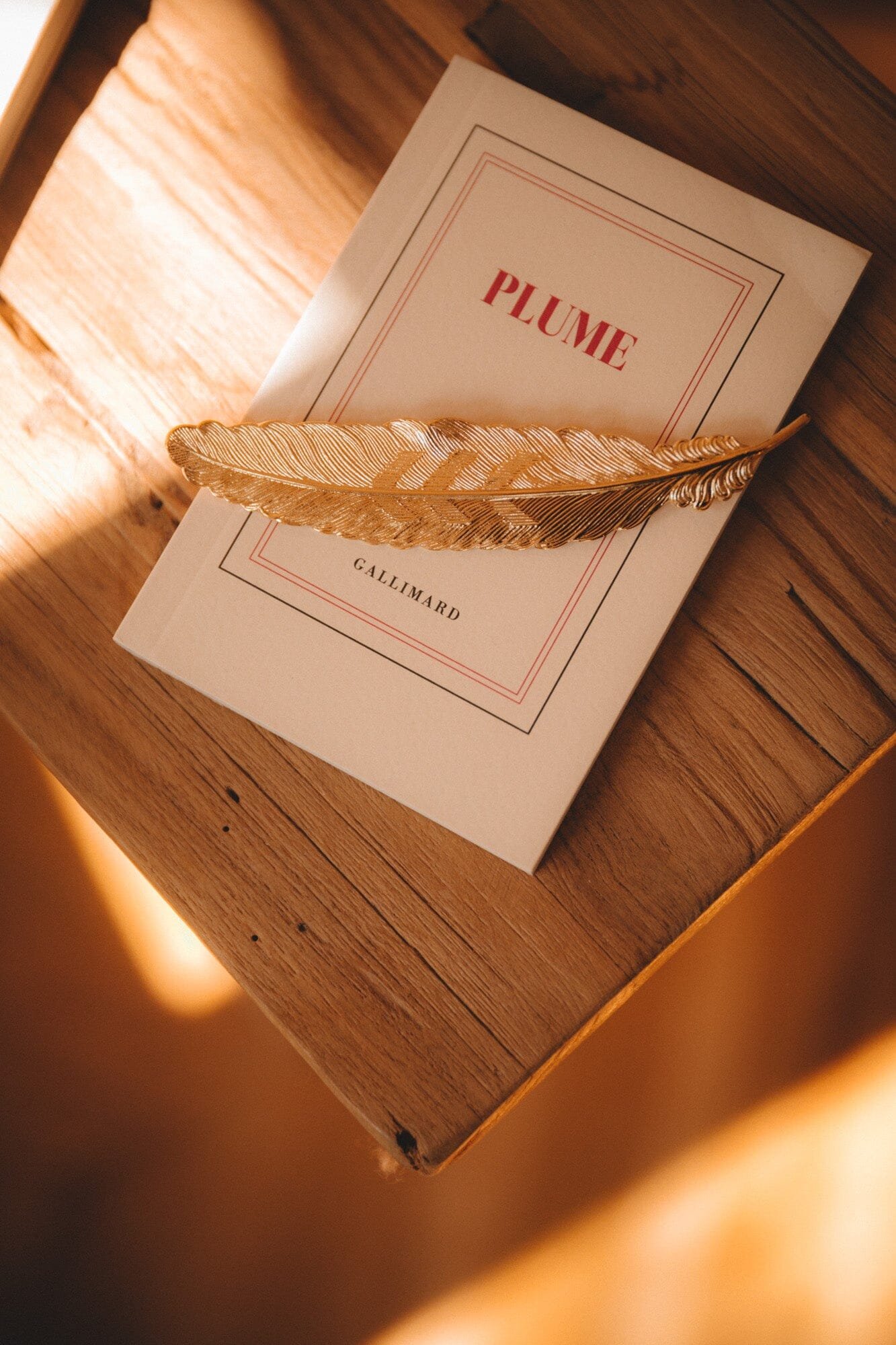 Gold-plated feather brooch MONSIEUR SIMONE Golden