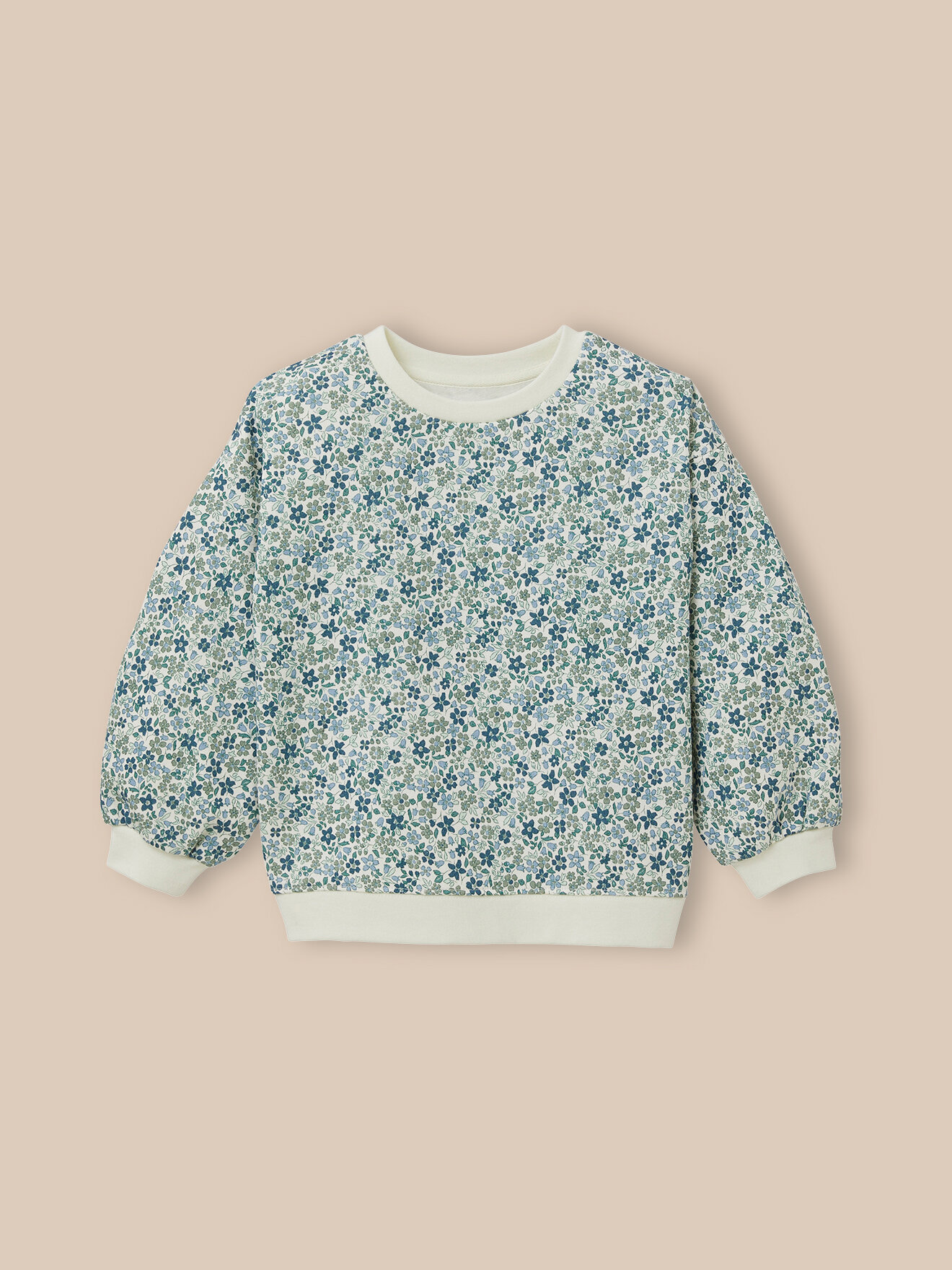 Organic cotton printed Jeanne sweatshirt CYRILLUS Blue