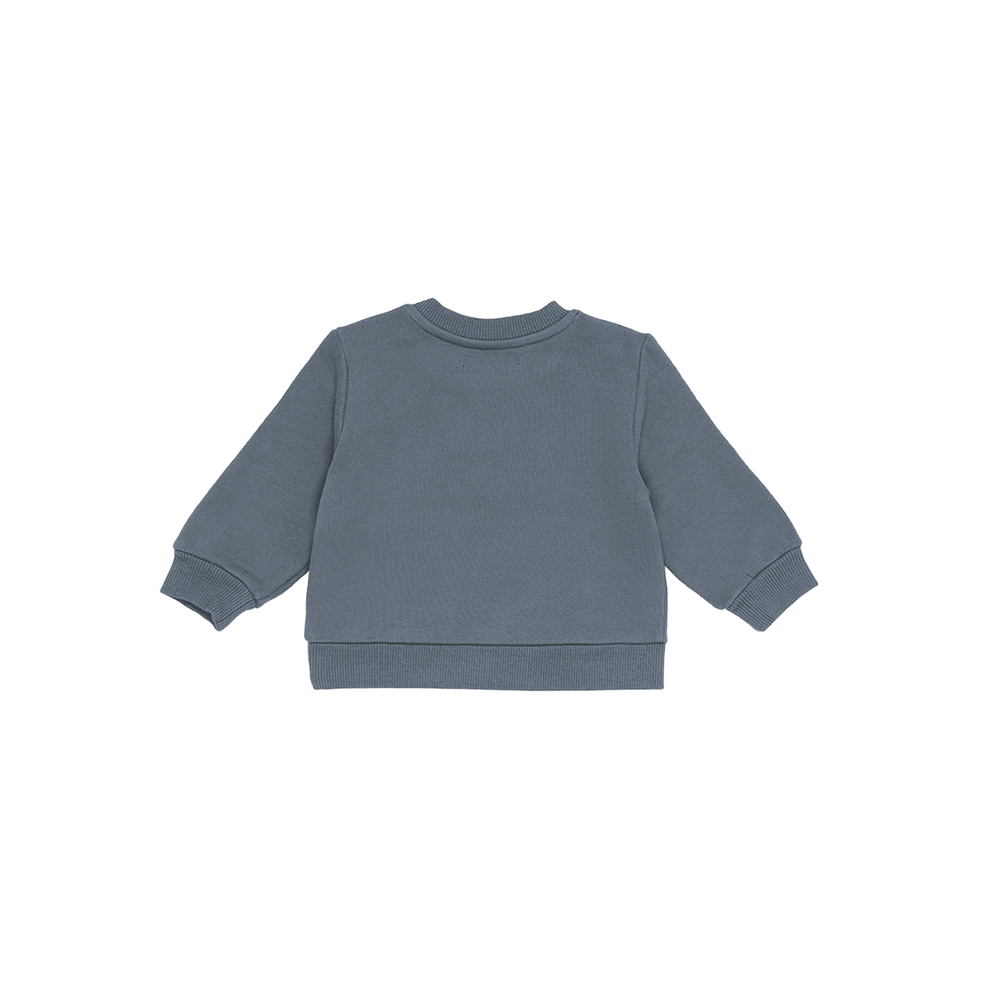 Lenycity cotton round-neck sweatshirt THE NEW SOCIETY Blue