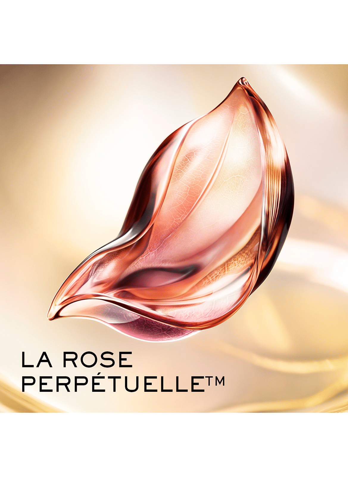 Lancôme Absolue Le Baume Lèvres LANCÔME No color