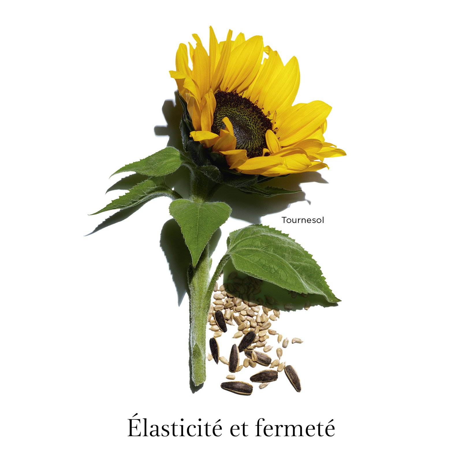 Extra-Firming Cou et Décolleté anti-âge - Soin jeunesse lift-regalbant CLARINS No color