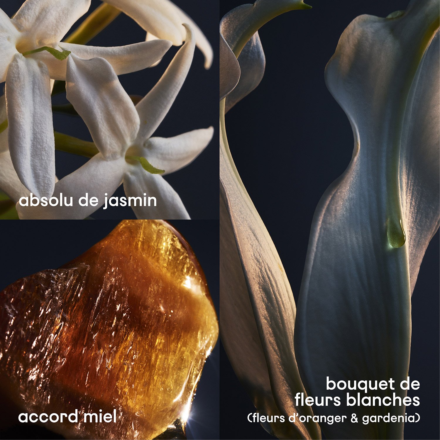 Lady Million - Eau de Parfum PACO RABANNE No color