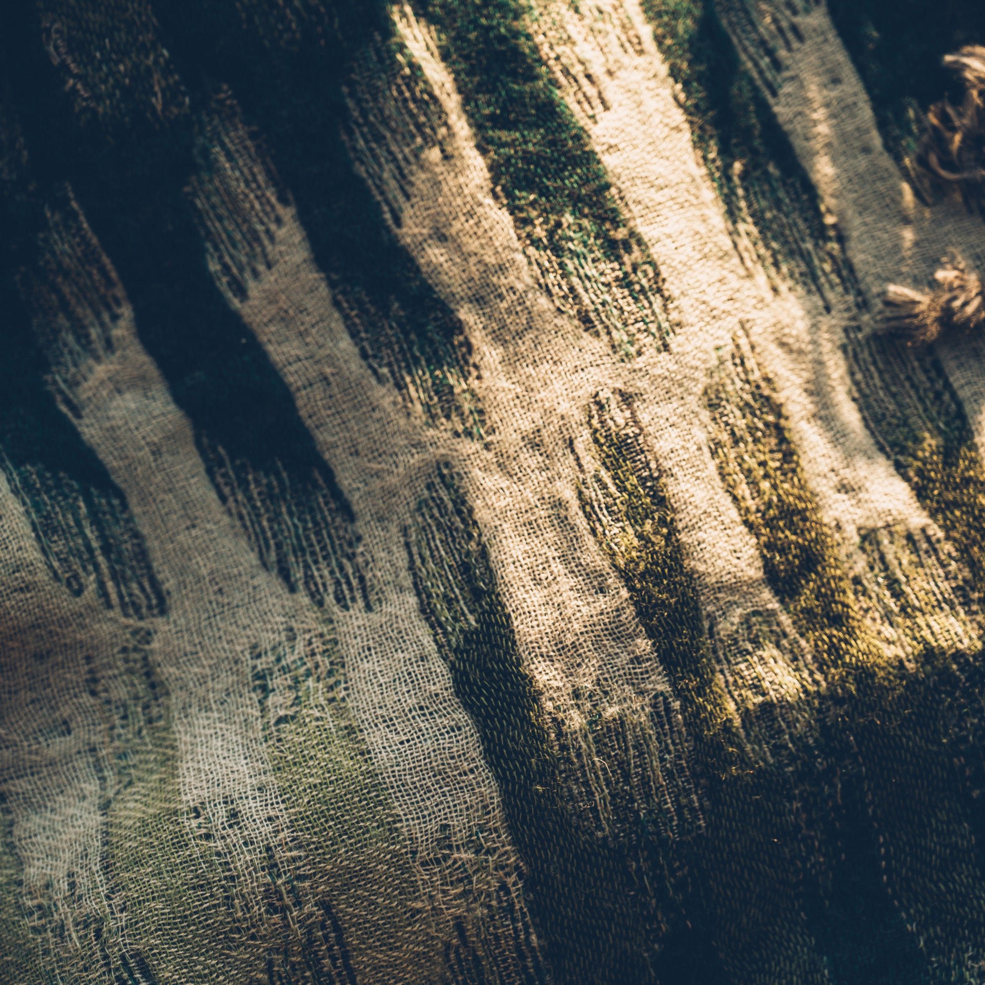 Plaid pure laine MADURA Vert