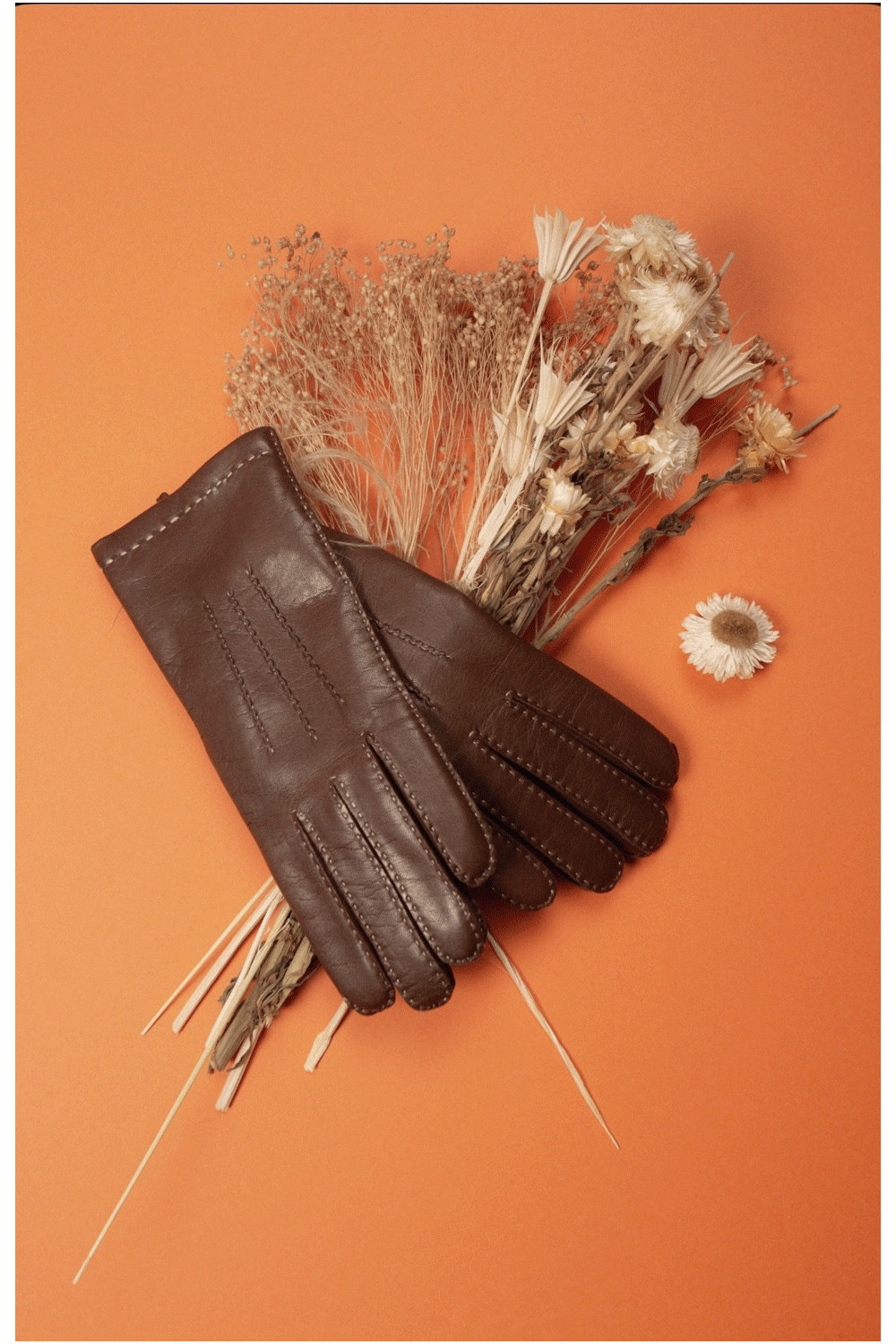 Aude leather gloves lined with cashmere AGNELLE Brown
