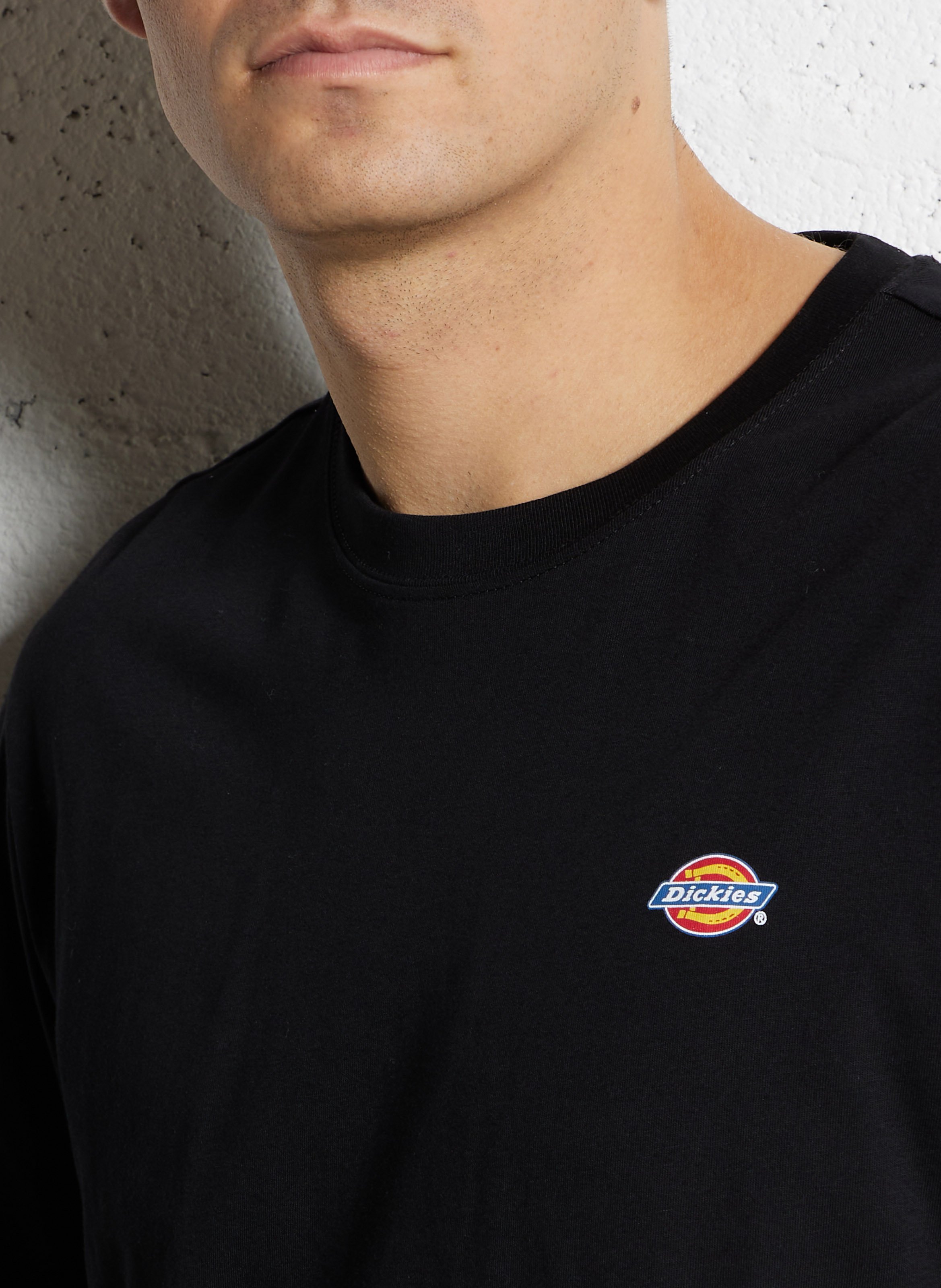 Effen T-shirt DICKIES Zwart