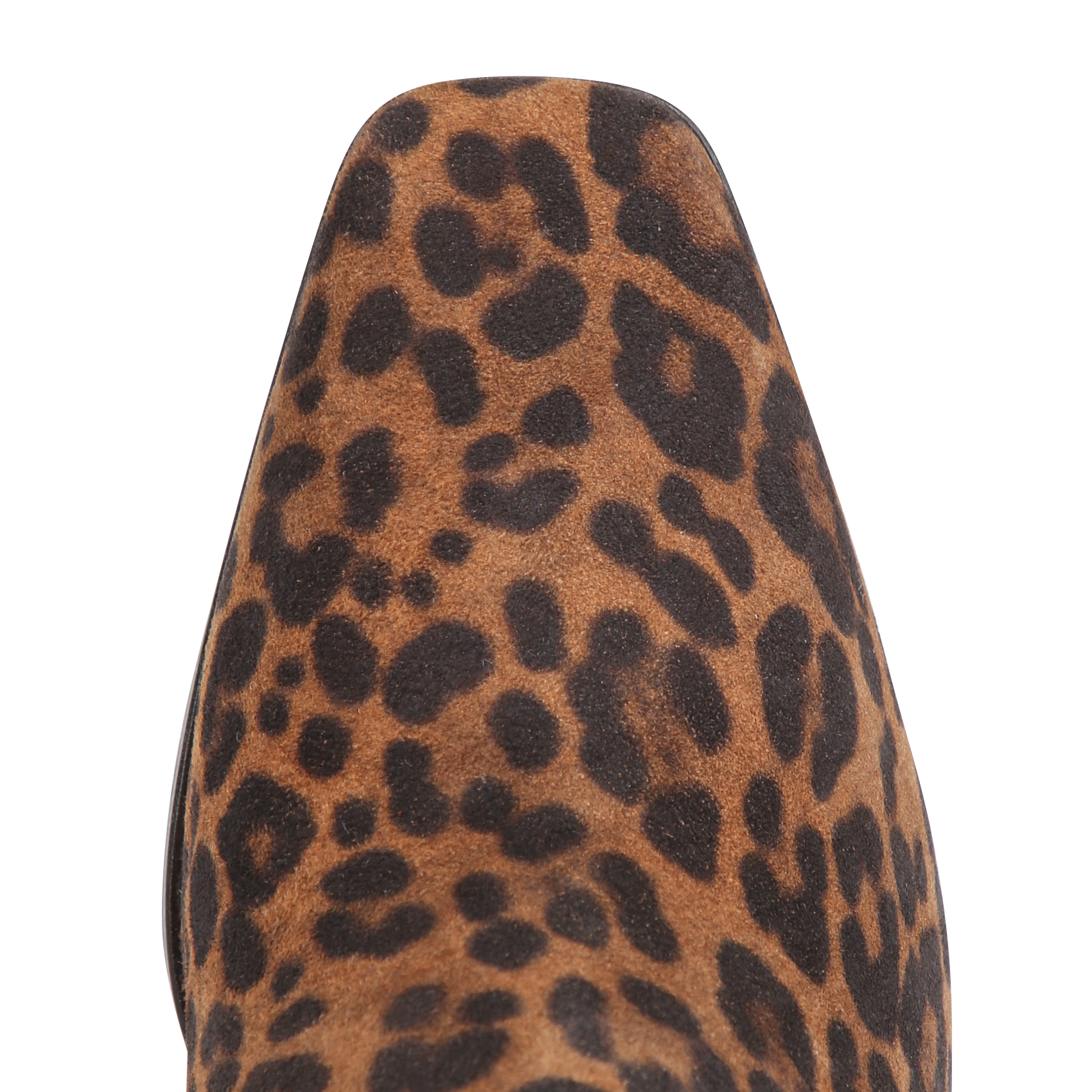 Bottines en cuir velours imprimé RIVECOUR Multicolore