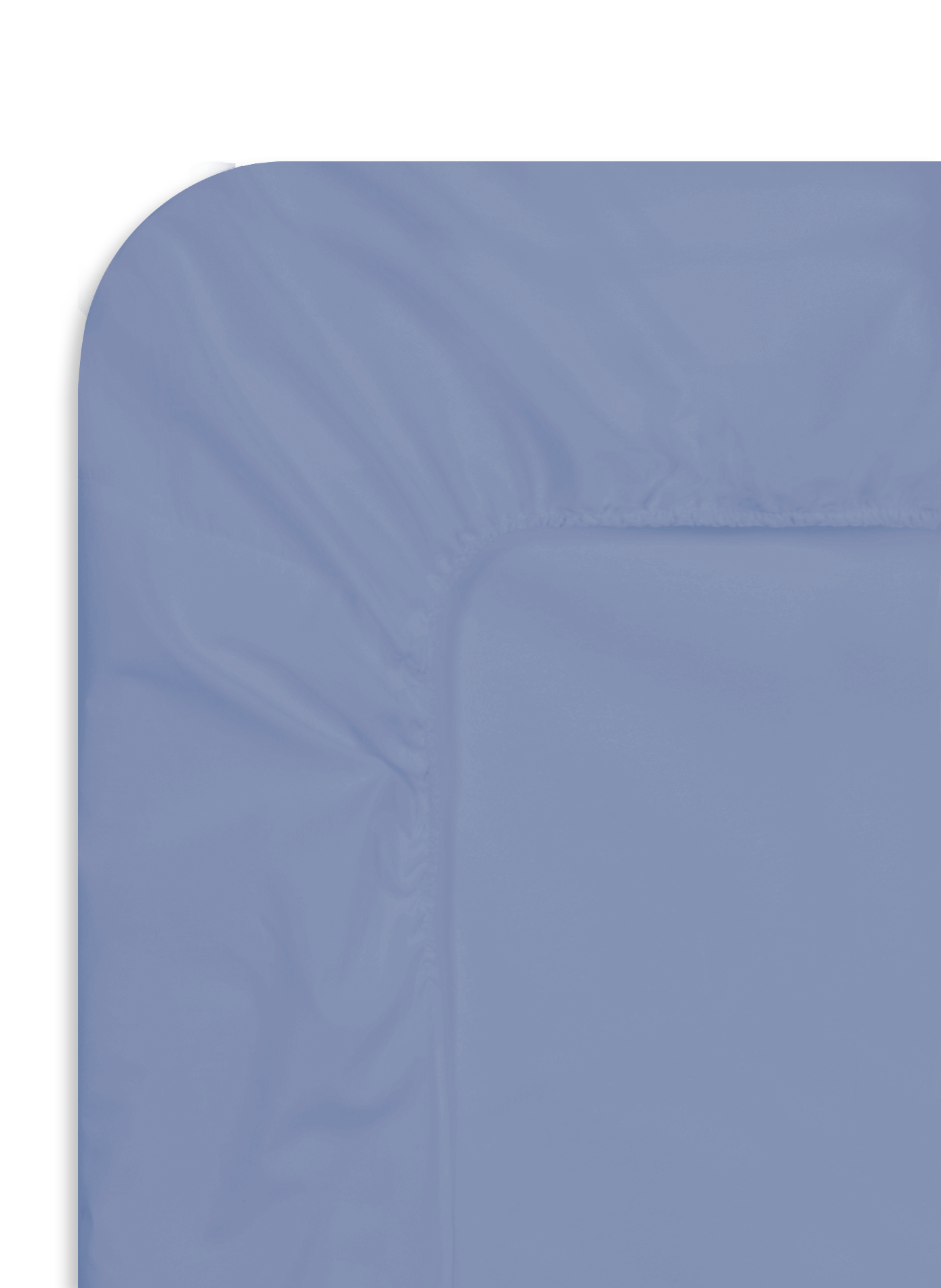 Cotton fitted sheet AU PRINTEMPS PARIS MAISON Blue