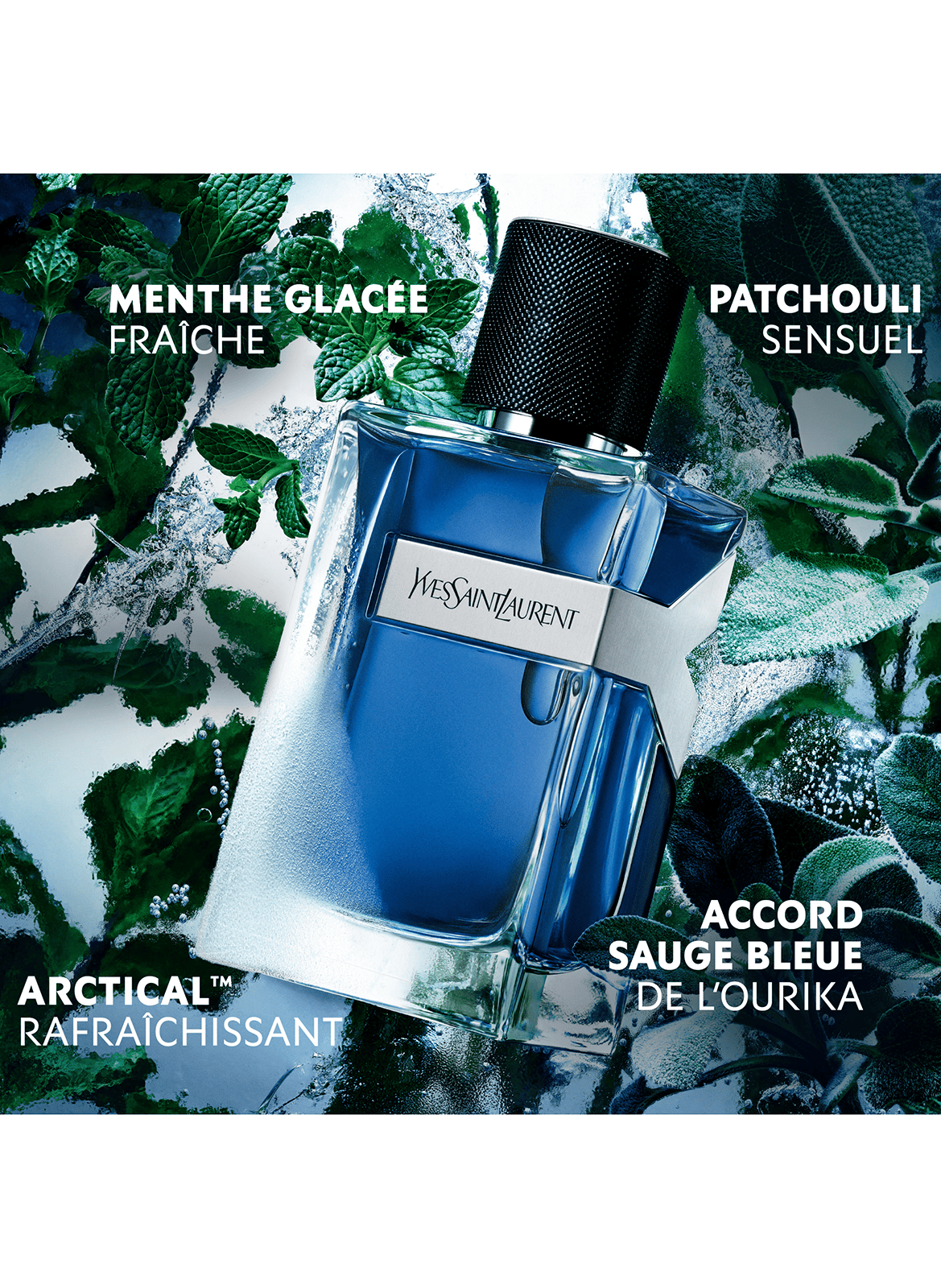 Y - Intensives Eau de Toilette, aromatisch-fougère Duft für Männer YVES SAINT LAURENT No color