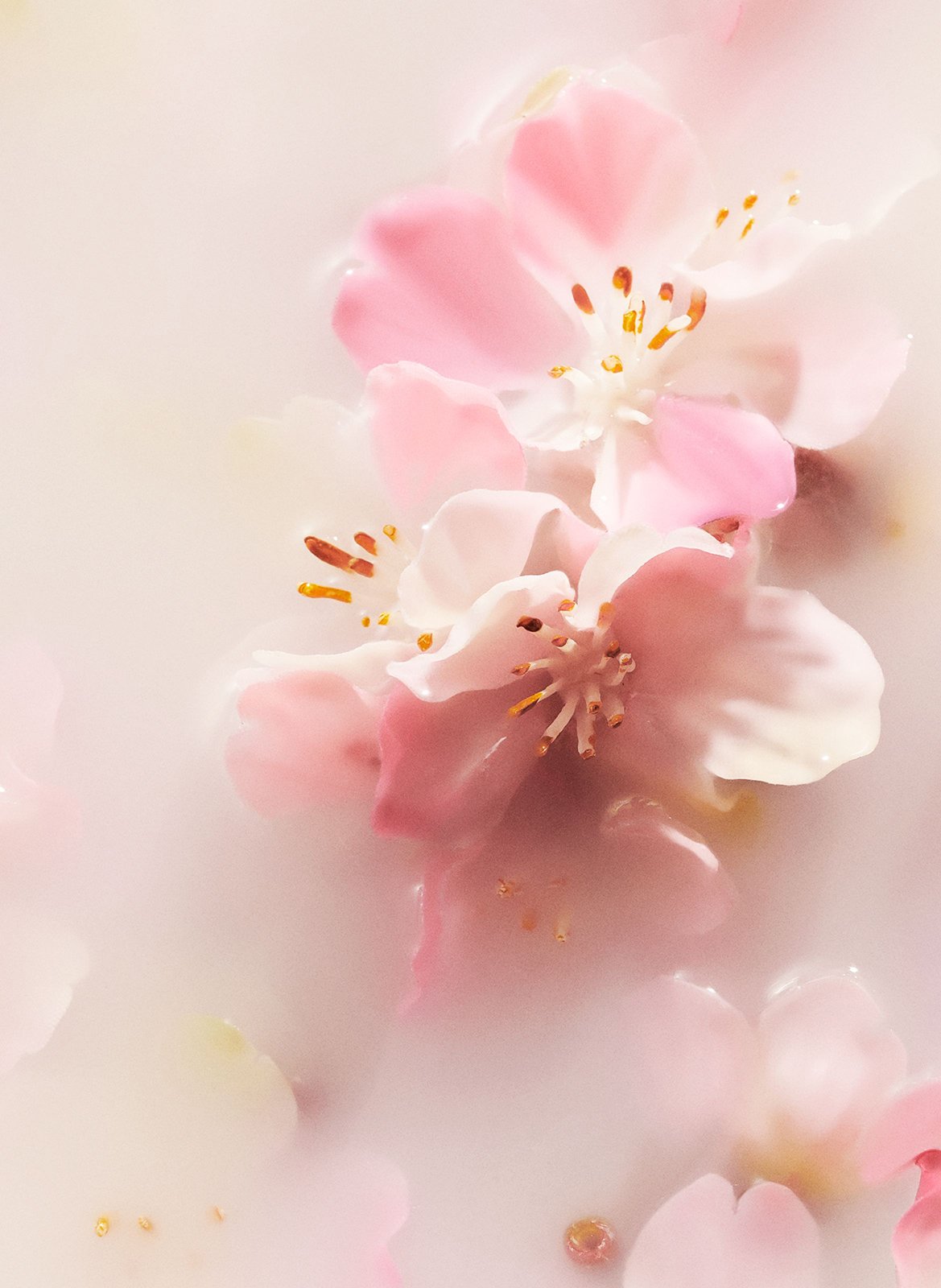 The Ritual Of Sakura - Gel Lavant Pour Les Mains RITUALS No color