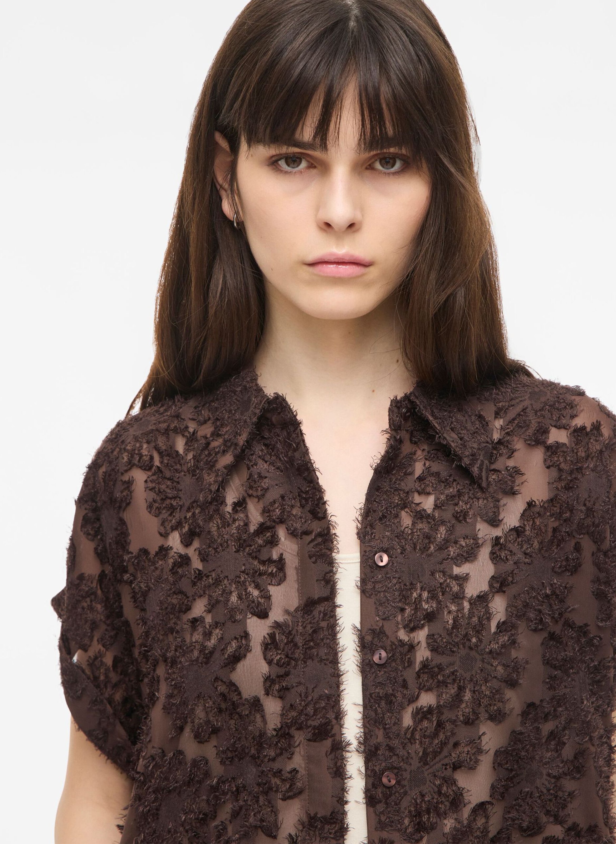 Straight classic collar lace shirt | Brown ROUGE EDIT Women