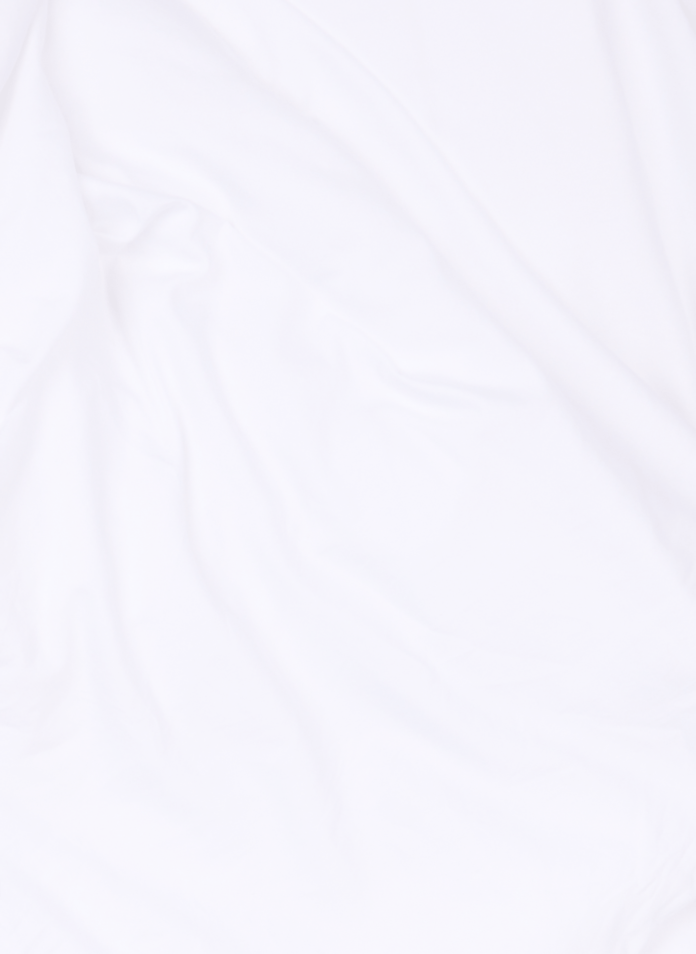 Cotton fitted sheet AU PRINTEMPS PARIS MAISON White