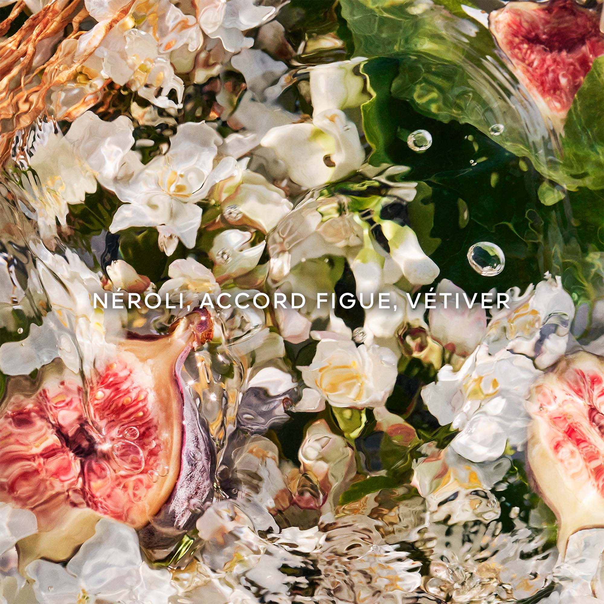 Aqua Allegoria Nerolia Vetiver - Recharge Eau de Toilette GUERLAIN No color