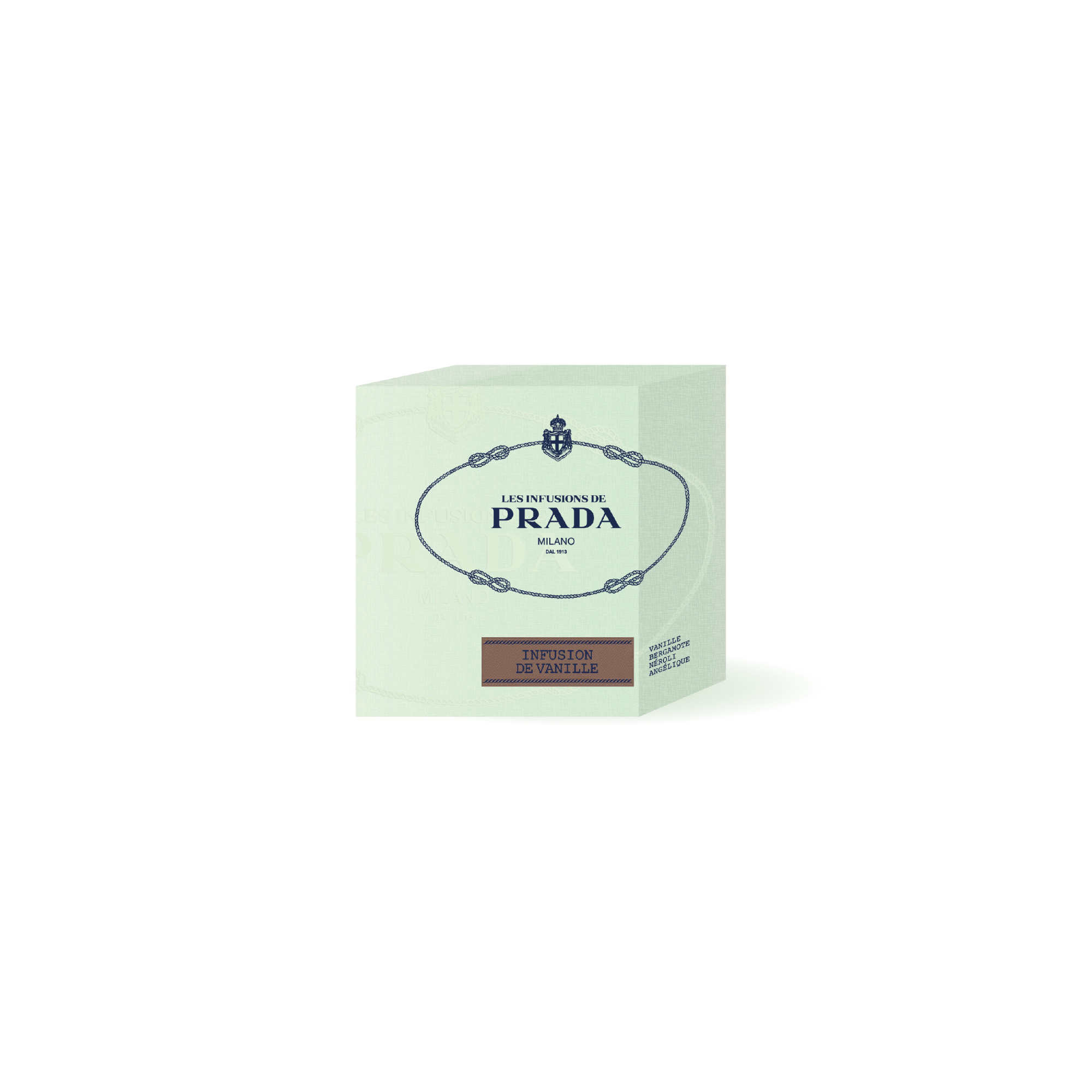 Vanilla Infusion candle No color