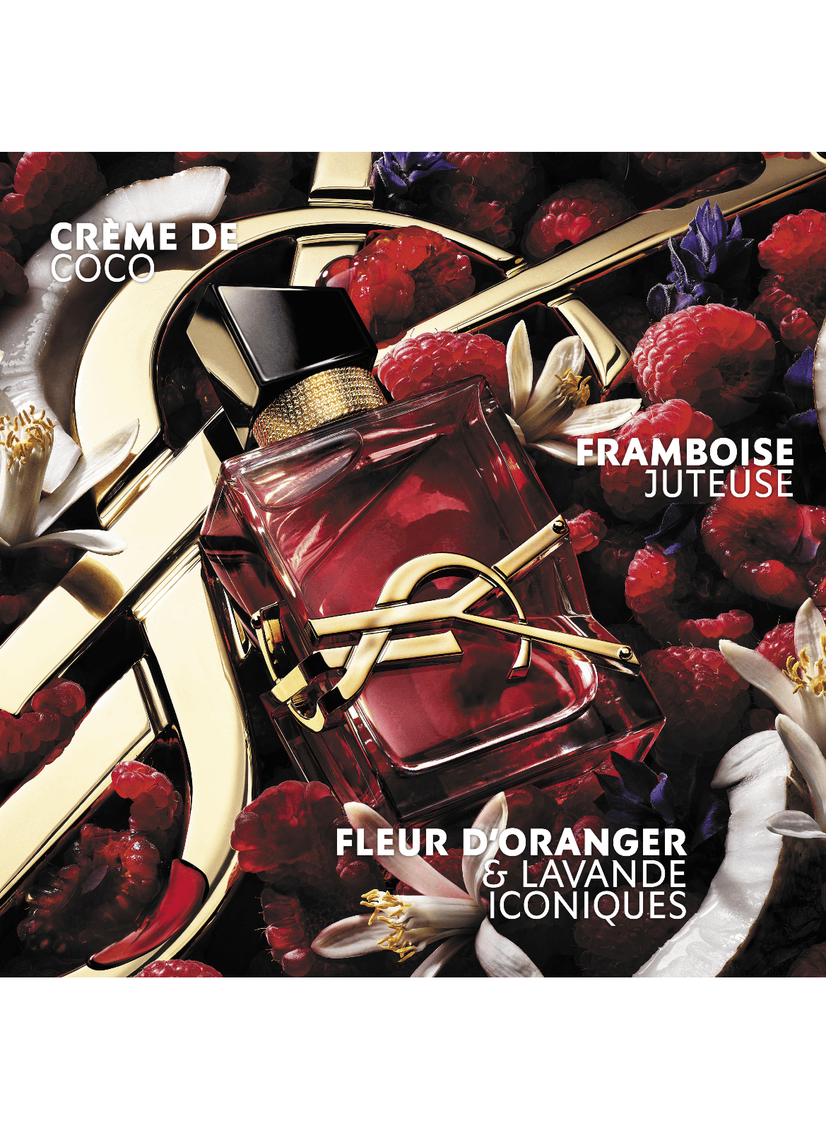 Frei Berry Crush - Blumig-fruchtiges Eau de Parfum für Frauen YVES SAINT LAURENT No color