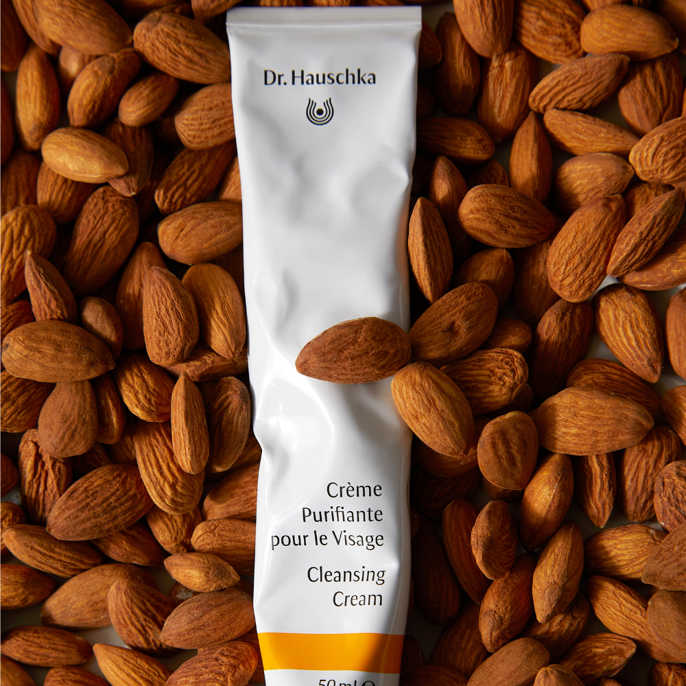 Purifying Face Cream DR. HAUSCHKA No color