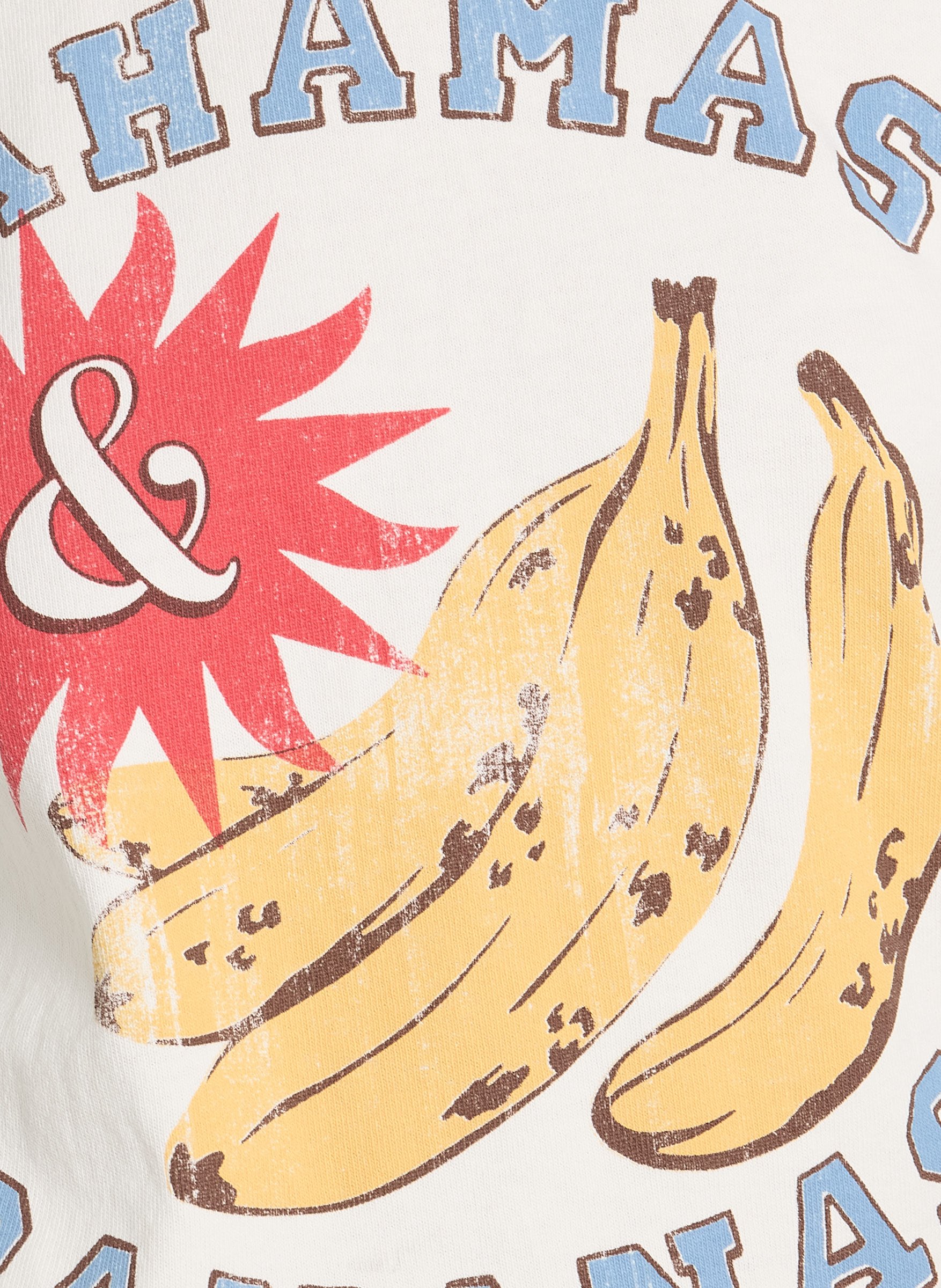 Tee-shirt col rond en coton HARTFORD Multicolore