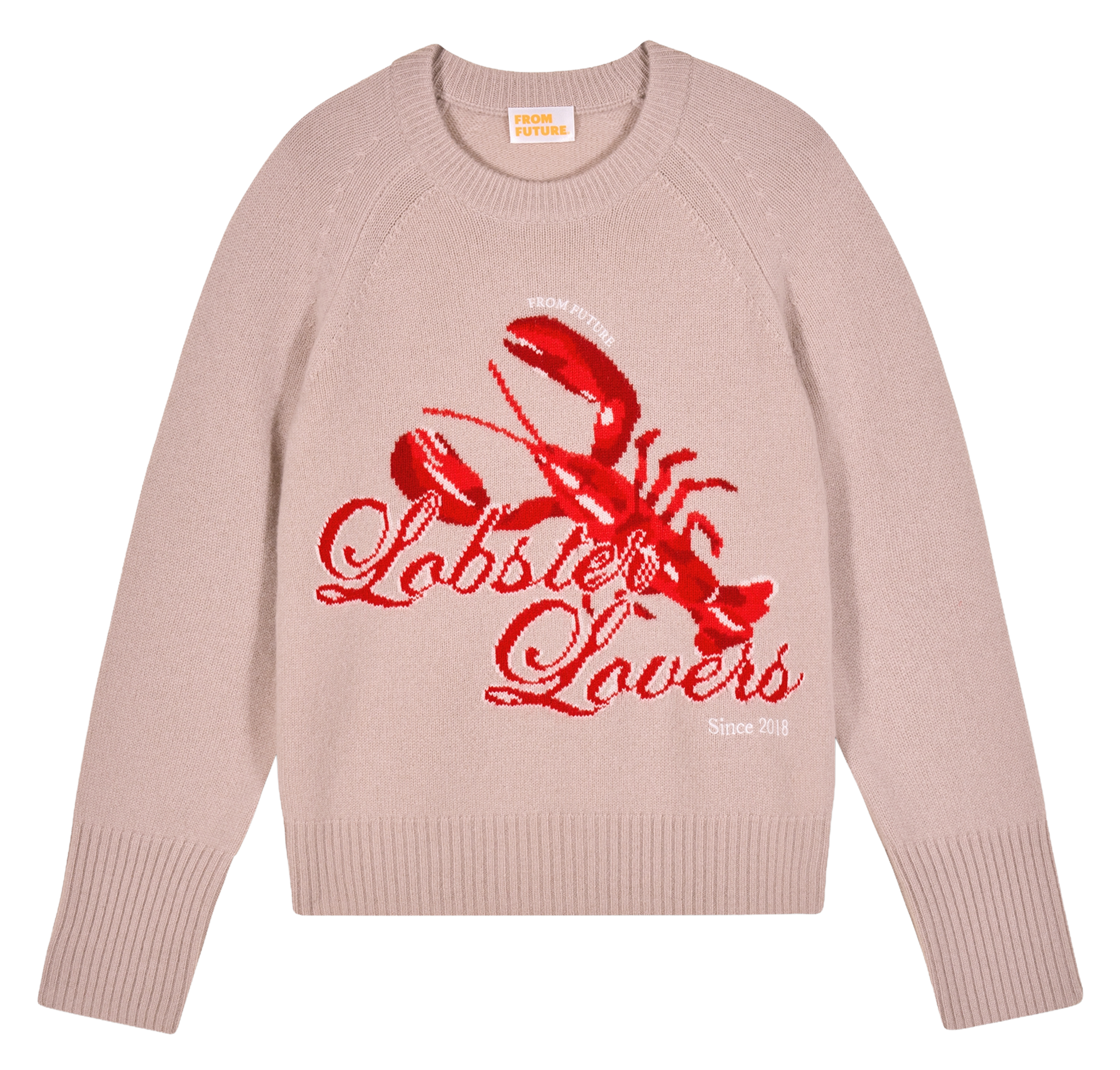 Straight fit cashmere patterned sweater FROM FUTURE Beige