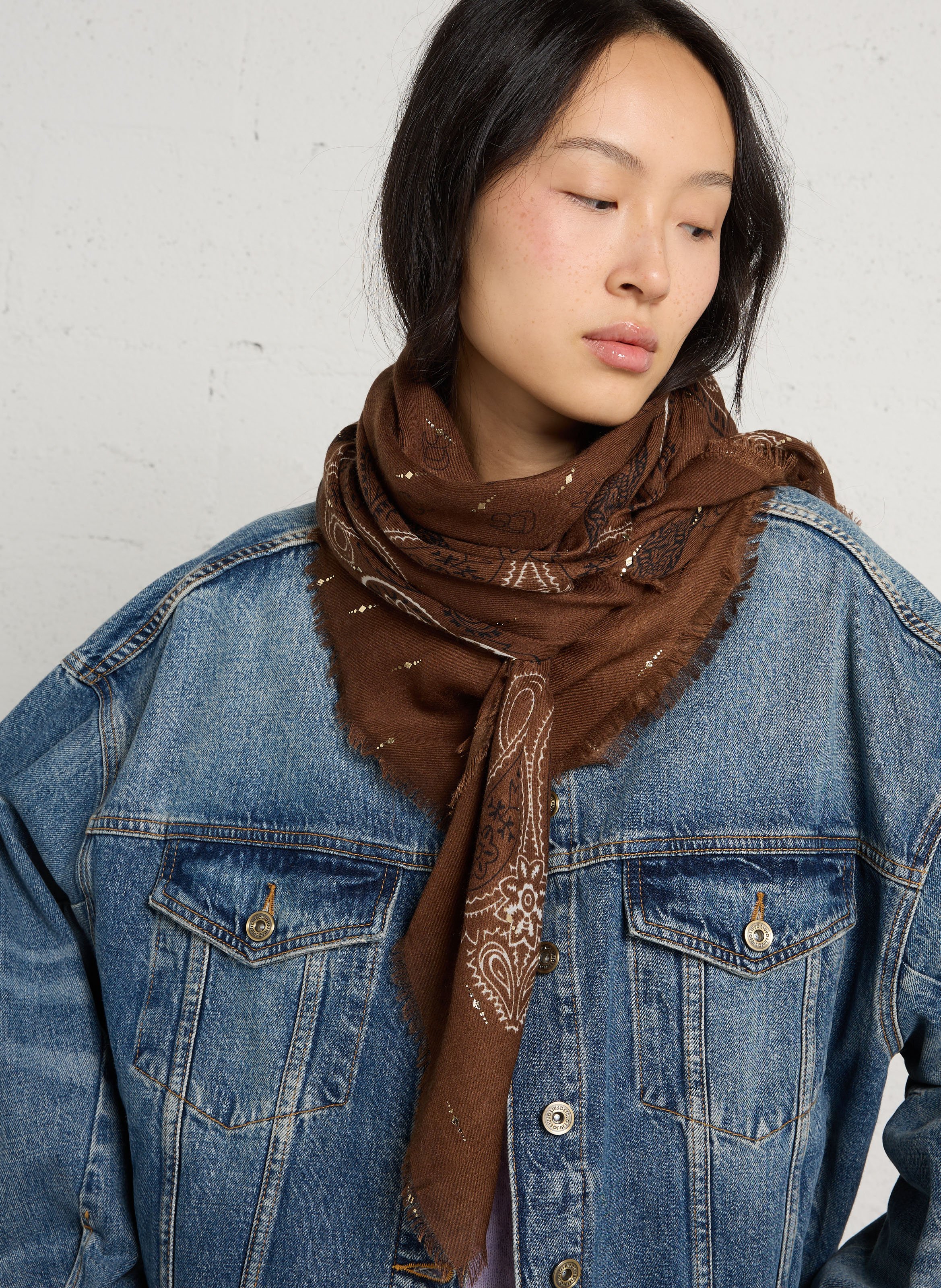 Printed scarf LE TEMPS DES CERISES Brown
