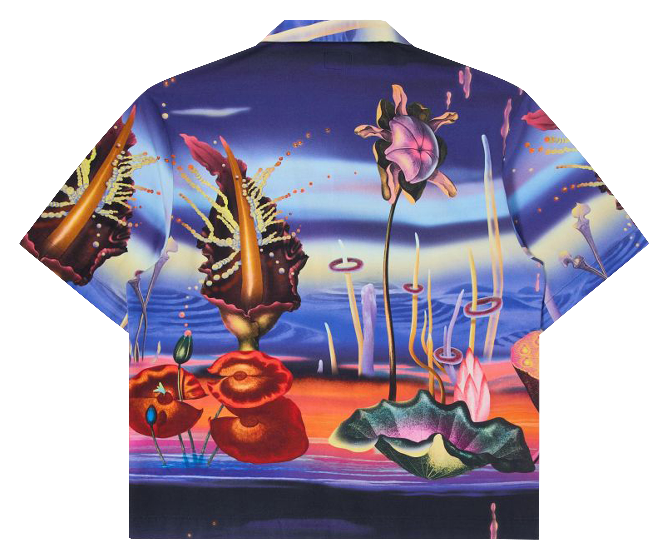 Short-sleeved printed cotton shirt EDWIN Multicolored