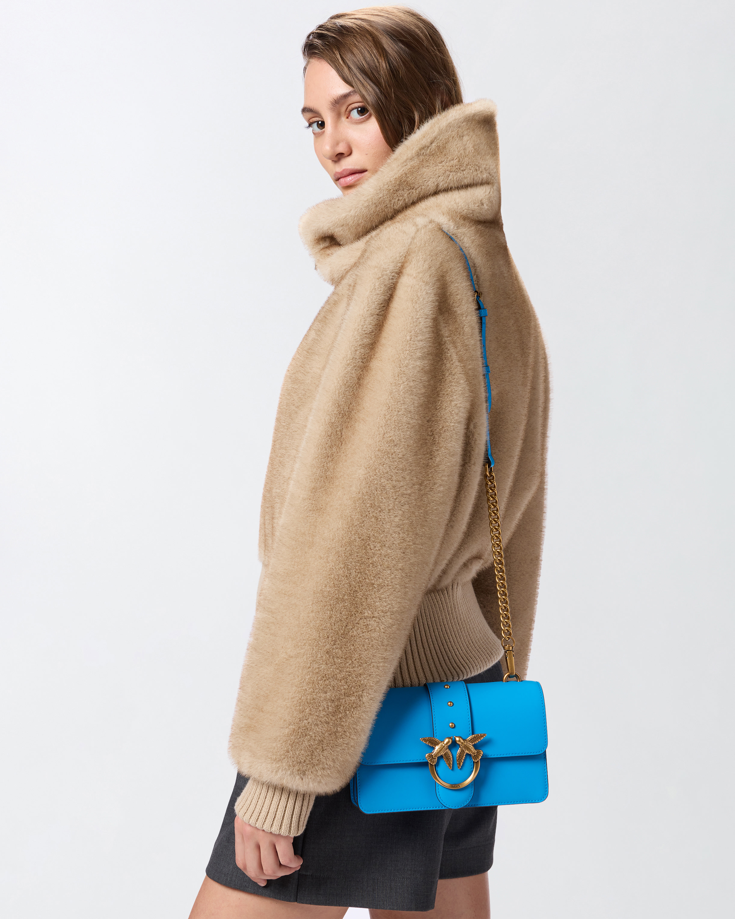 Small Love Bag One leather crossbody bag PINKO Multicolored