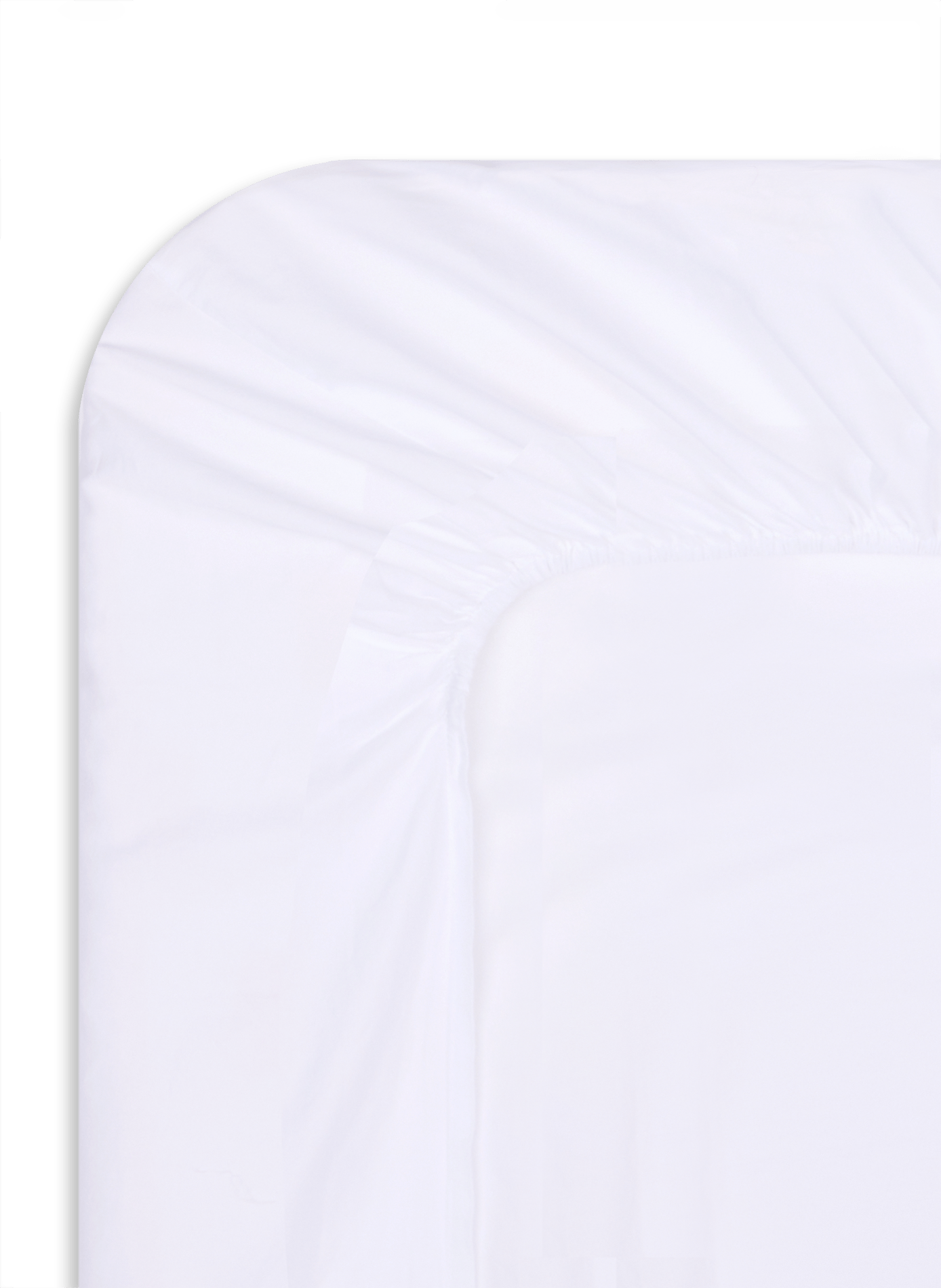 Cotton fitted sheet AU PRINTEMPS PARIS MAISON White