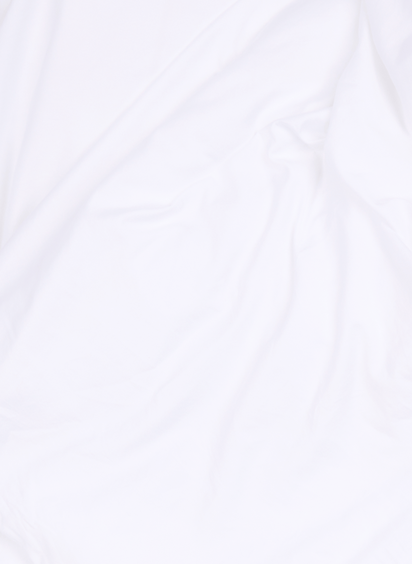 Cotton fitted sheet AU PRINTEMPS PARIS MAISON White