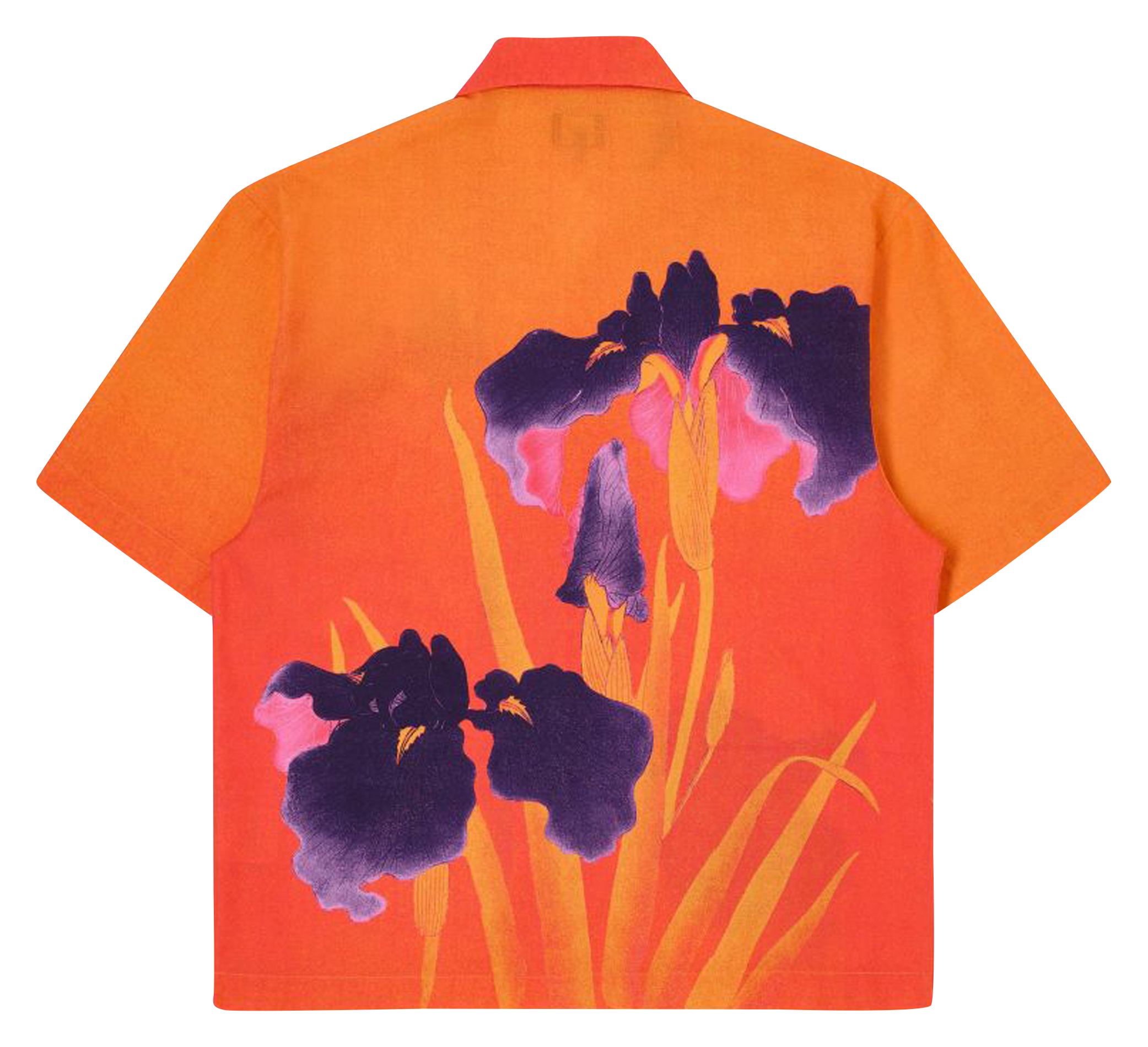 Printed cotton shirt with classic collar Multicolored