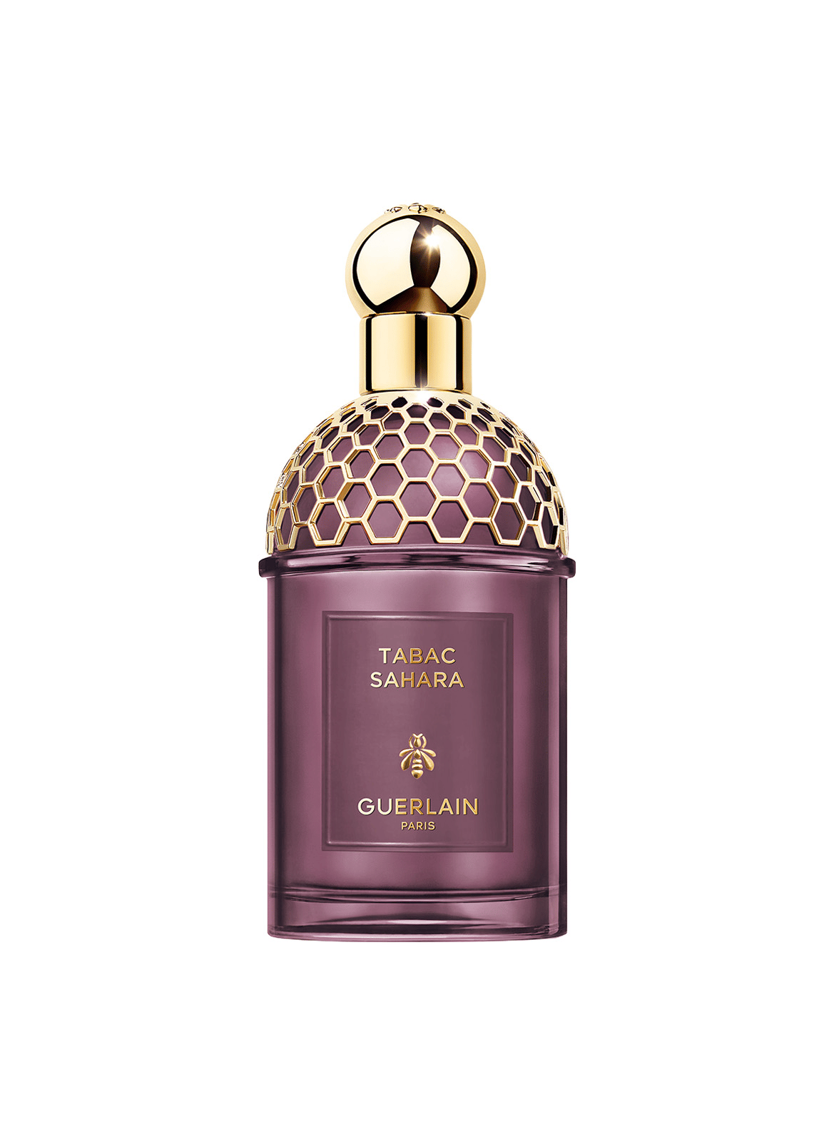 Absolus Allegoria Tabac Sahara - Eau de Parfum GUERLAIN No color