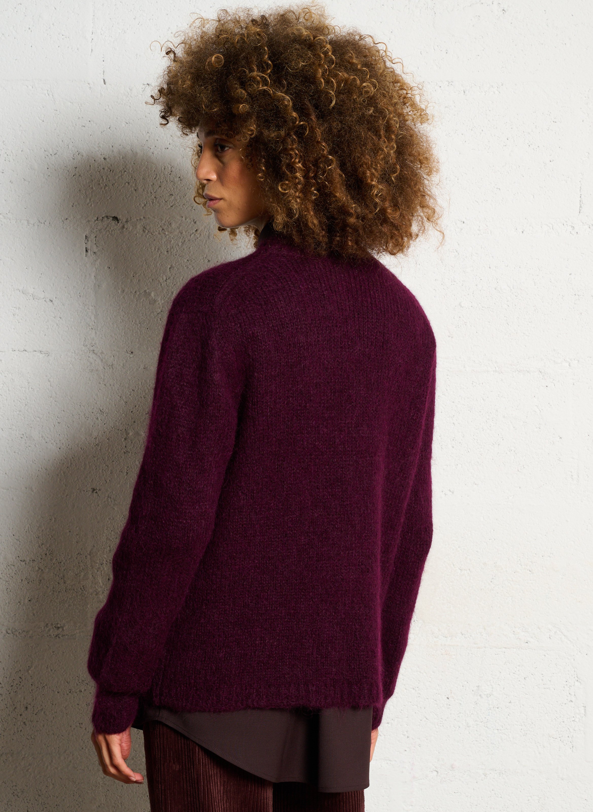 Pull col rond en alpaga mélangé MASSCOB Violet