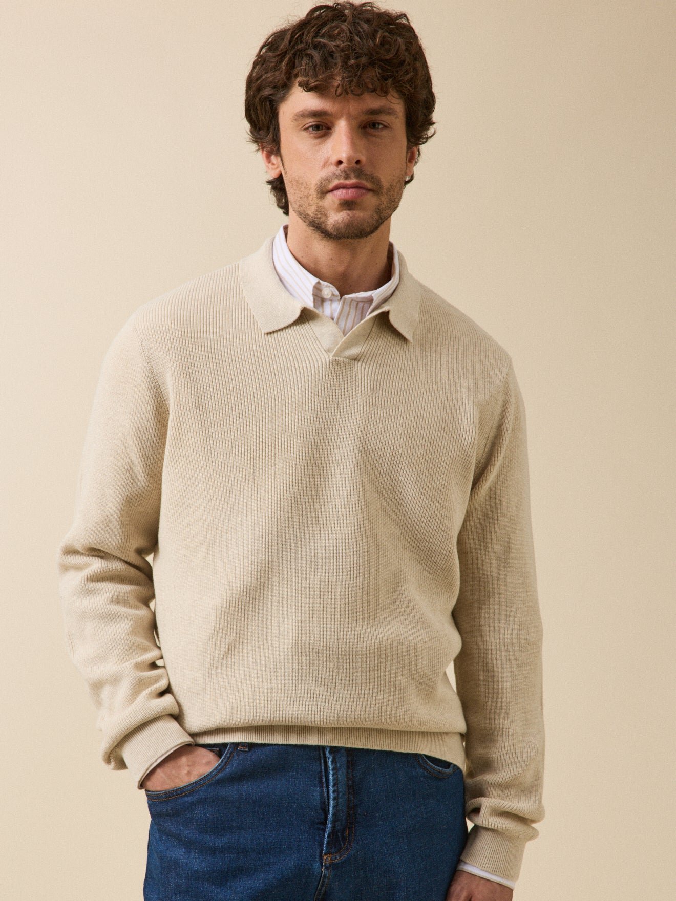 Pull col polo  coton biologique CYRILLUS Beige