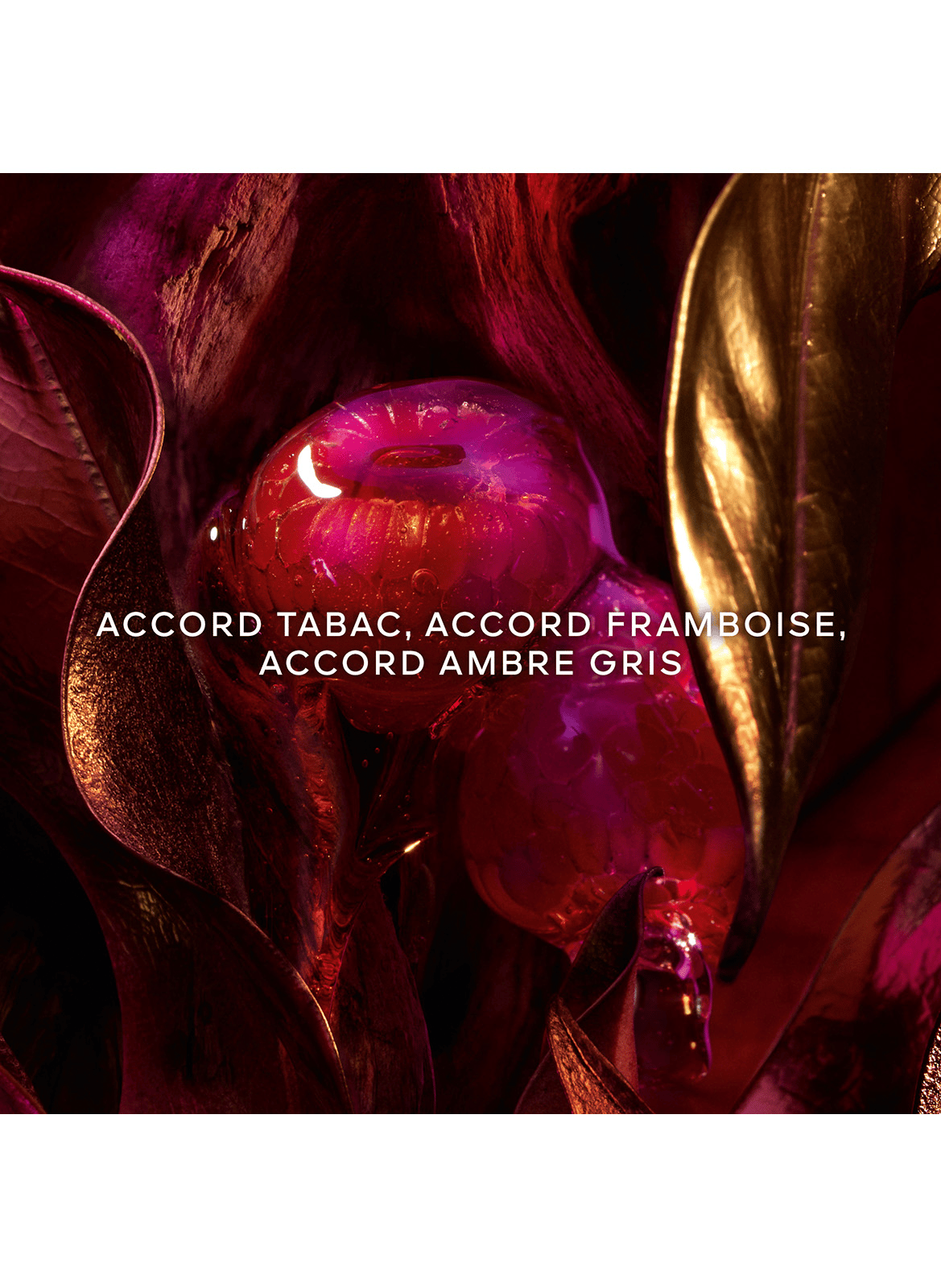 Absolus Allegoria Tabac Sahara - Eau de Parfum GUERLAIN No color
