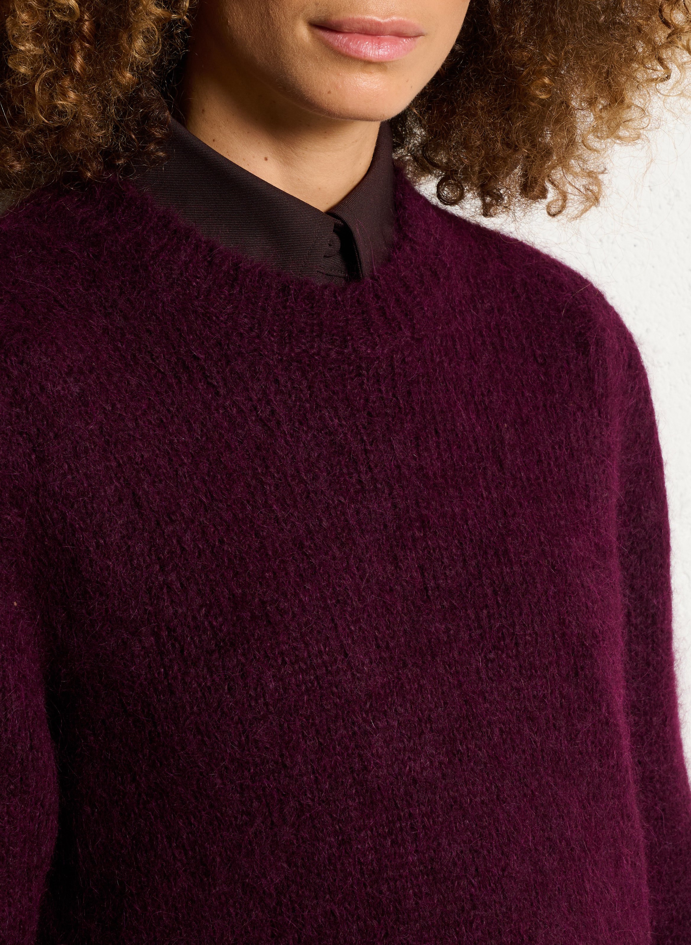 Pull col rond en alpaga mélangé MASSCOB Violet