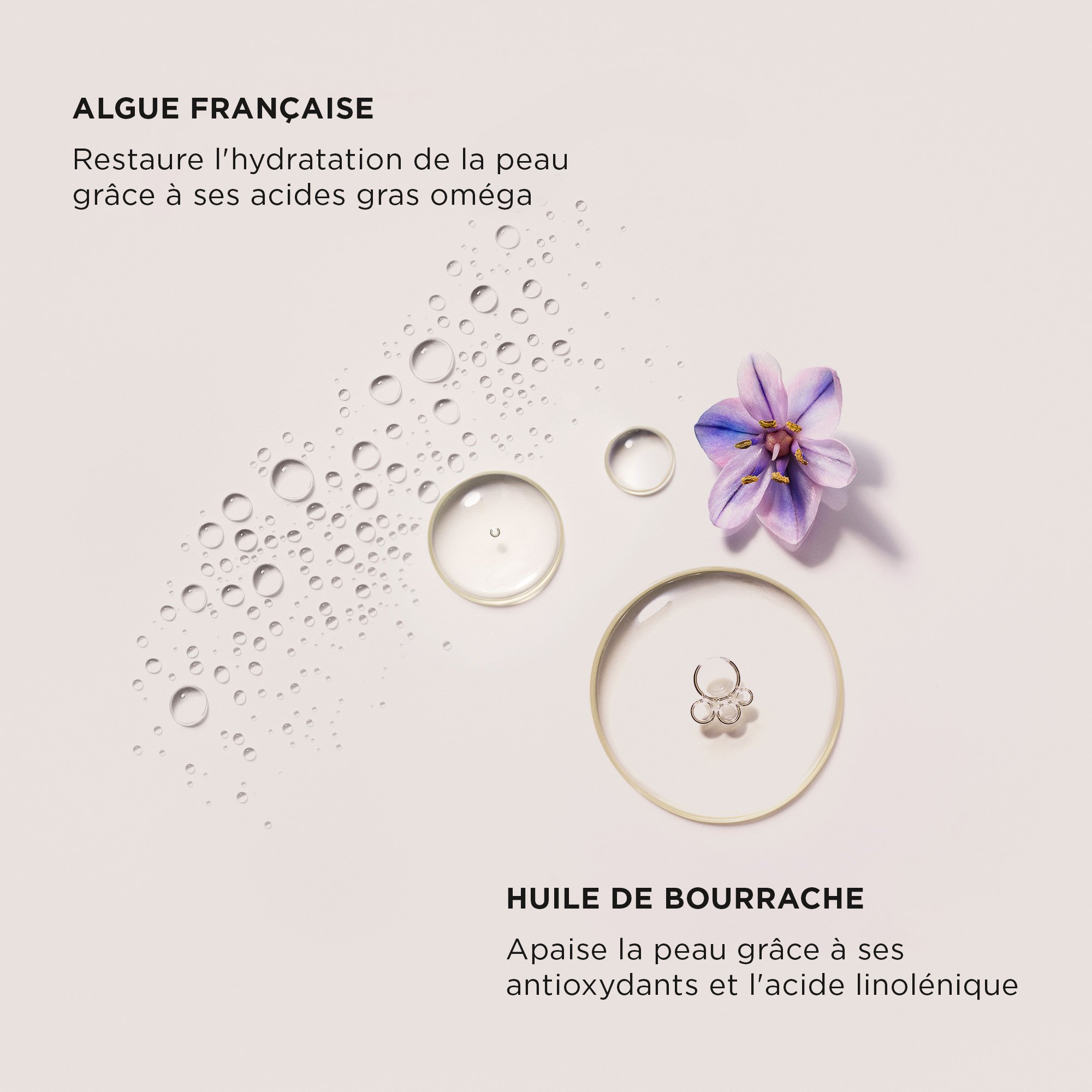 HAND CREAM - AMBRE VANILLE LAURA MERCIER No color