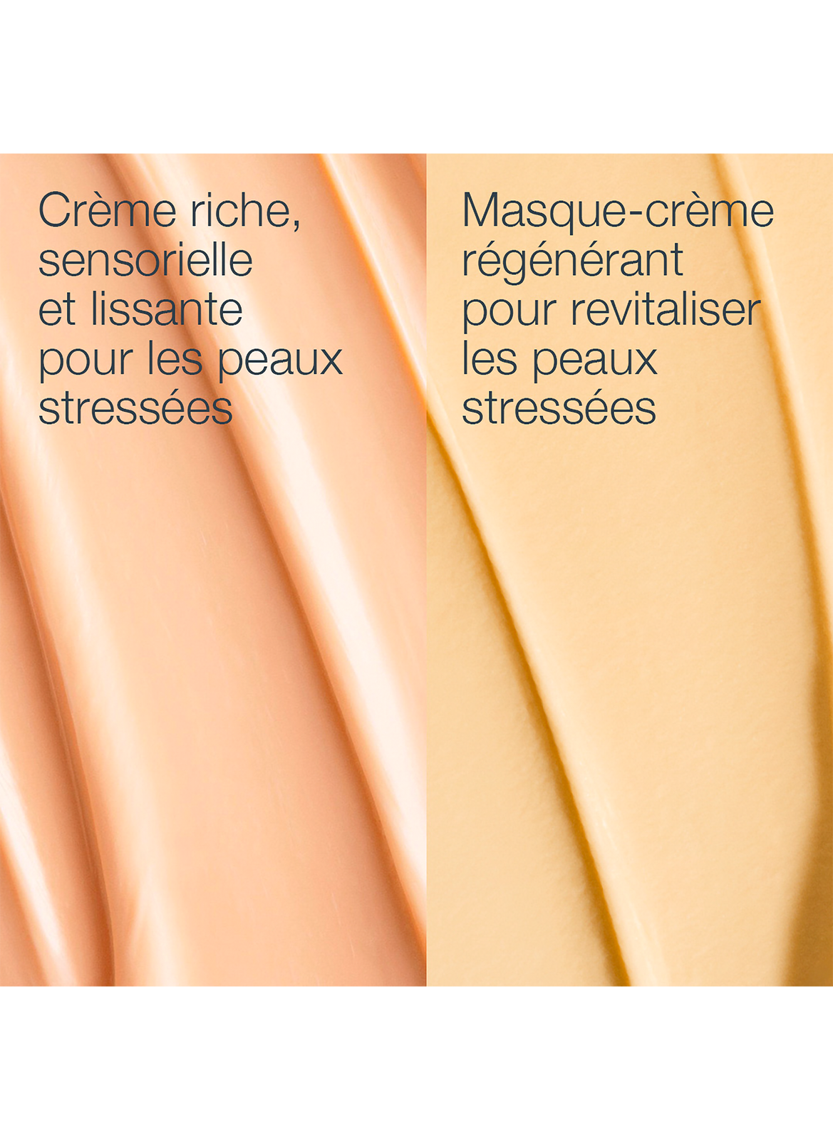 stressed skin recovery system DERMALOGICA No color