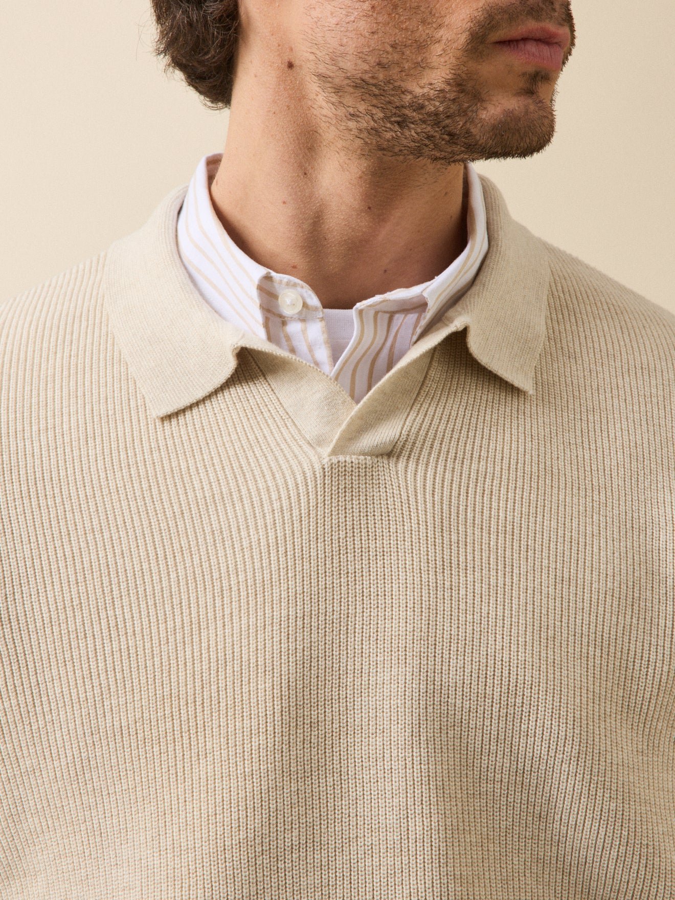 Pull col polo  coton biologique CYRILLUS Beige