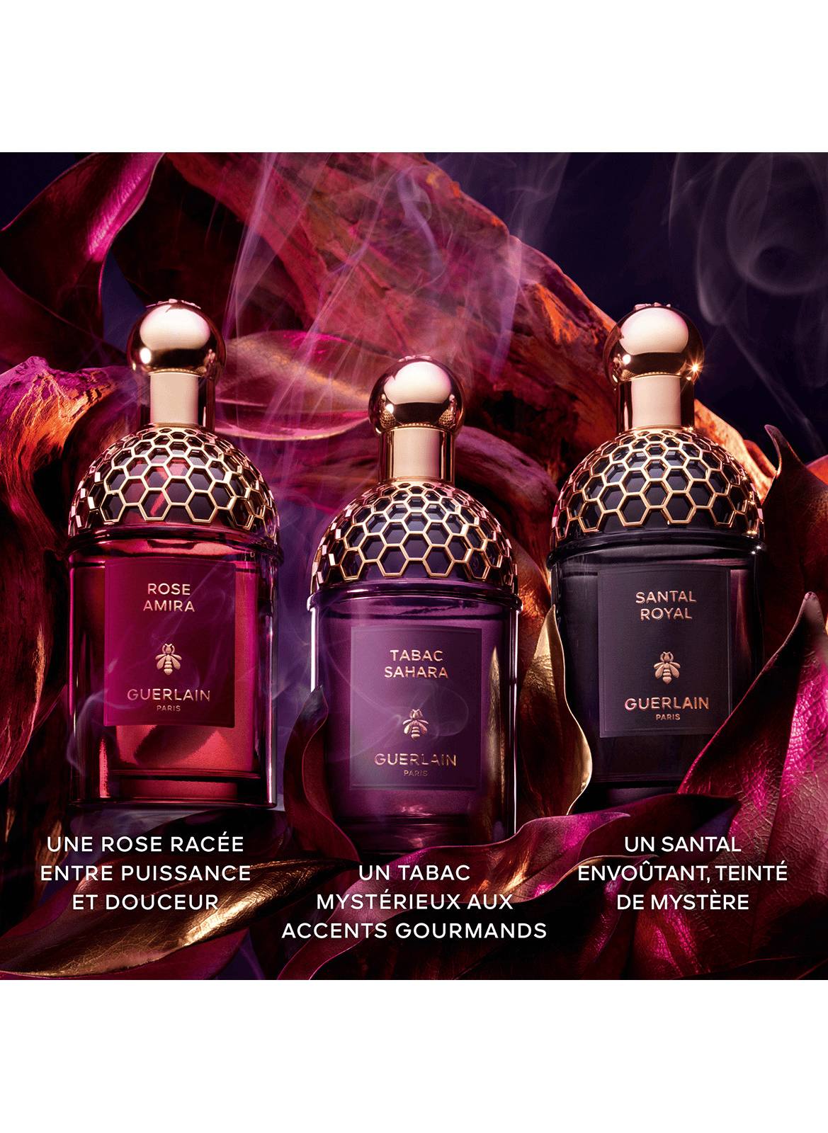 Absolus Allegoria Tabac Sahara - Eau de Parfum GUERLAIN No color