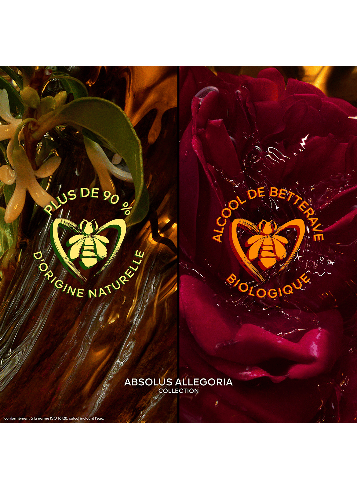 Absolus Allegoria Tabac Sahara - Eau de Parfum GUERLAIN No color